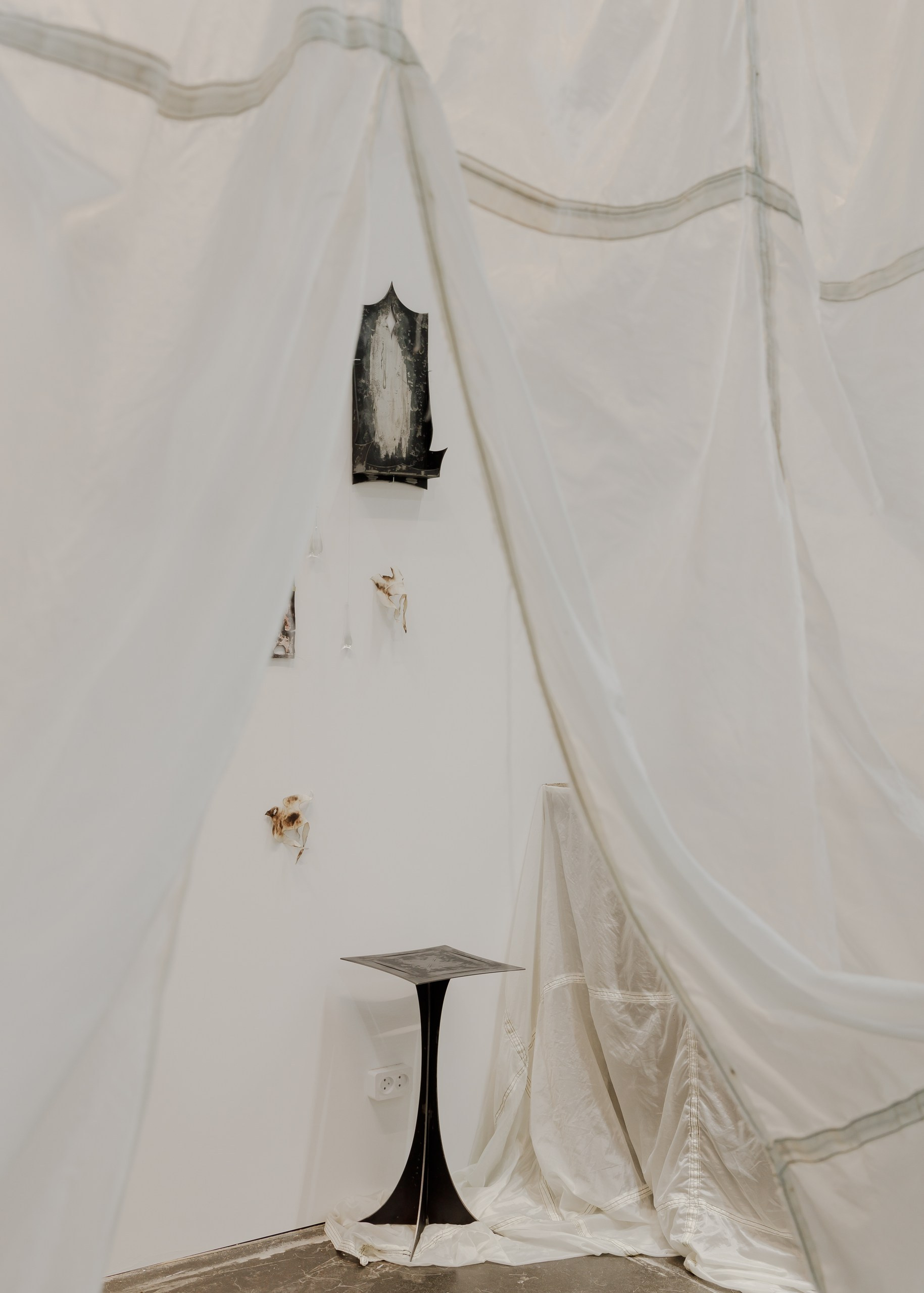 PORT ART FAIR 2026. Anna Zavediy
