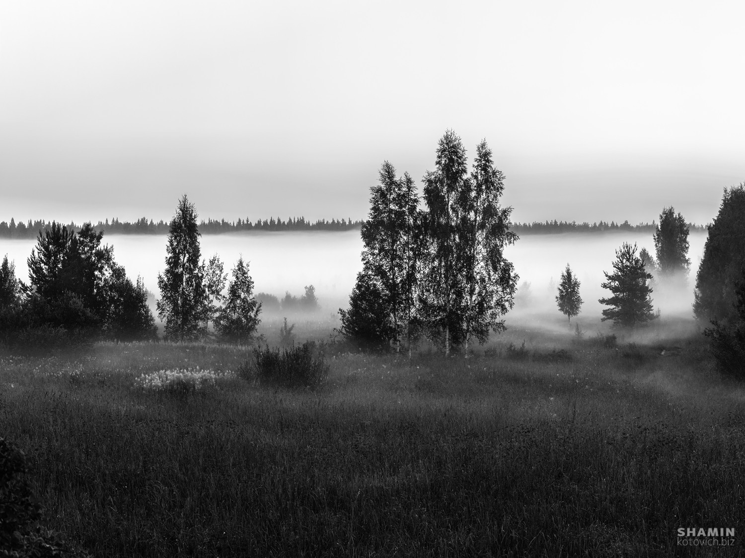 В погоне за туманами. Фотограф Константин Шамин