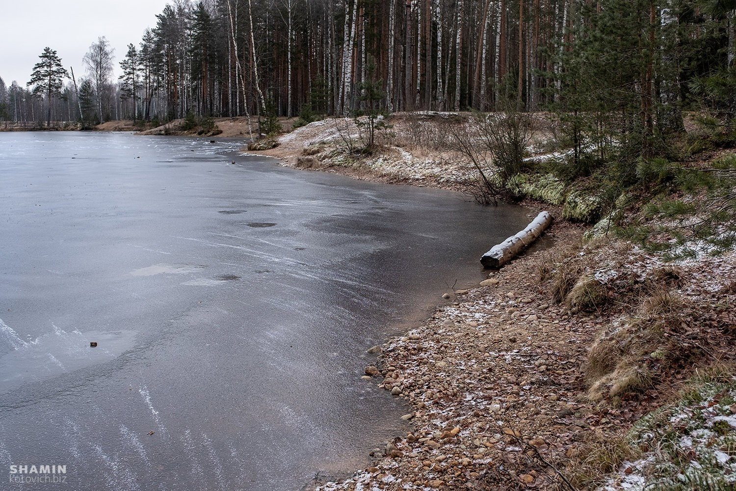 Зима на подходе. Фотограф Константин Шамин