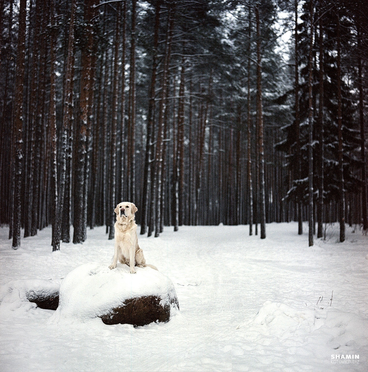 Михаил и плёнка. Фотограф Константин Шамин