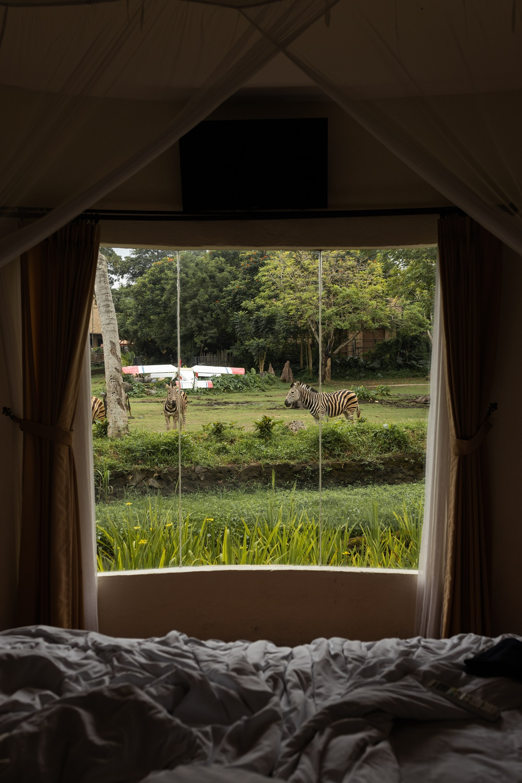 Туры по России и миру