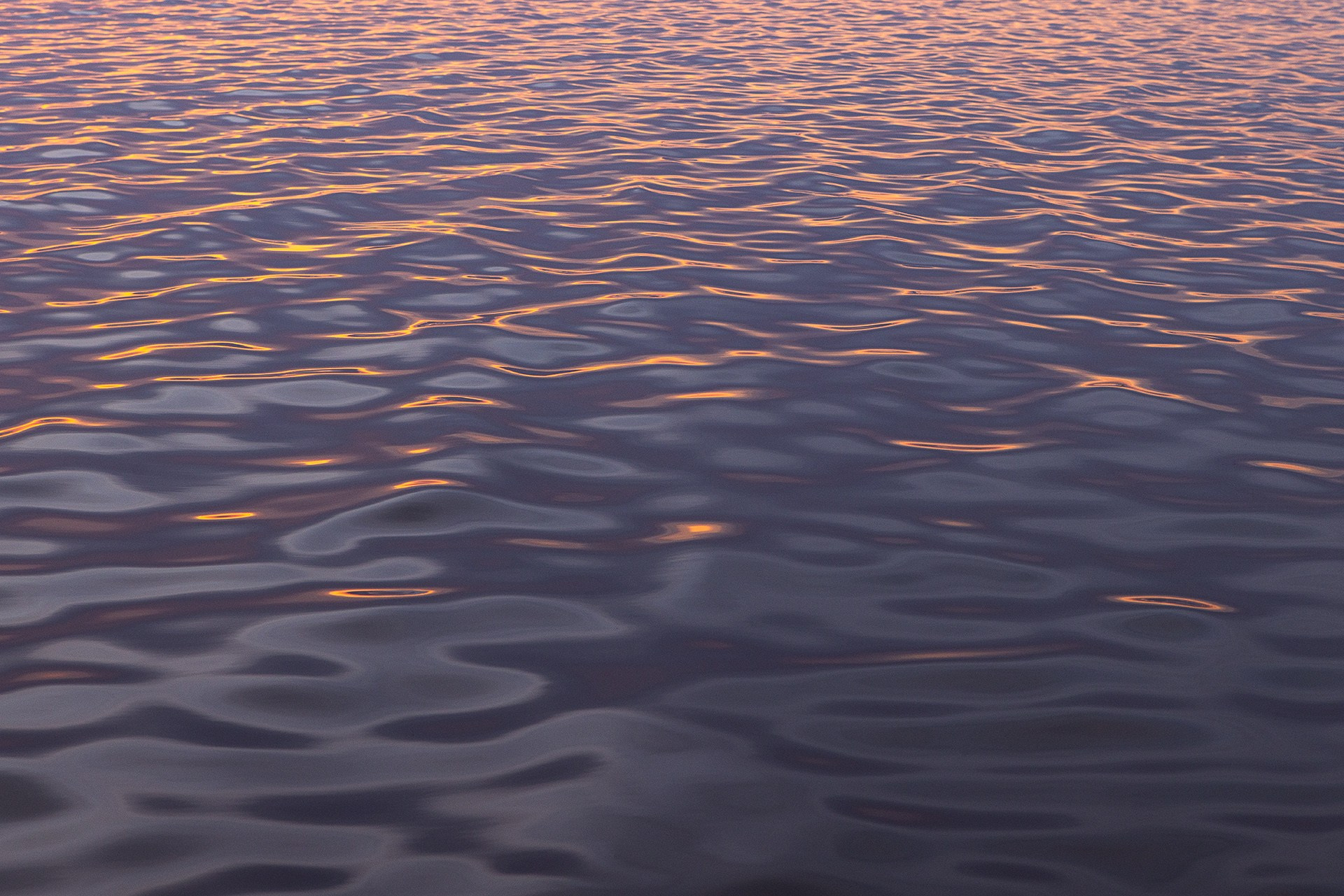 Волгоградская и астраханская области Весна 2026 | Фотограф Дмитрий Купрацевич. Дмитрий Купрацевич профессиональный пейзажный и travel-фотограф