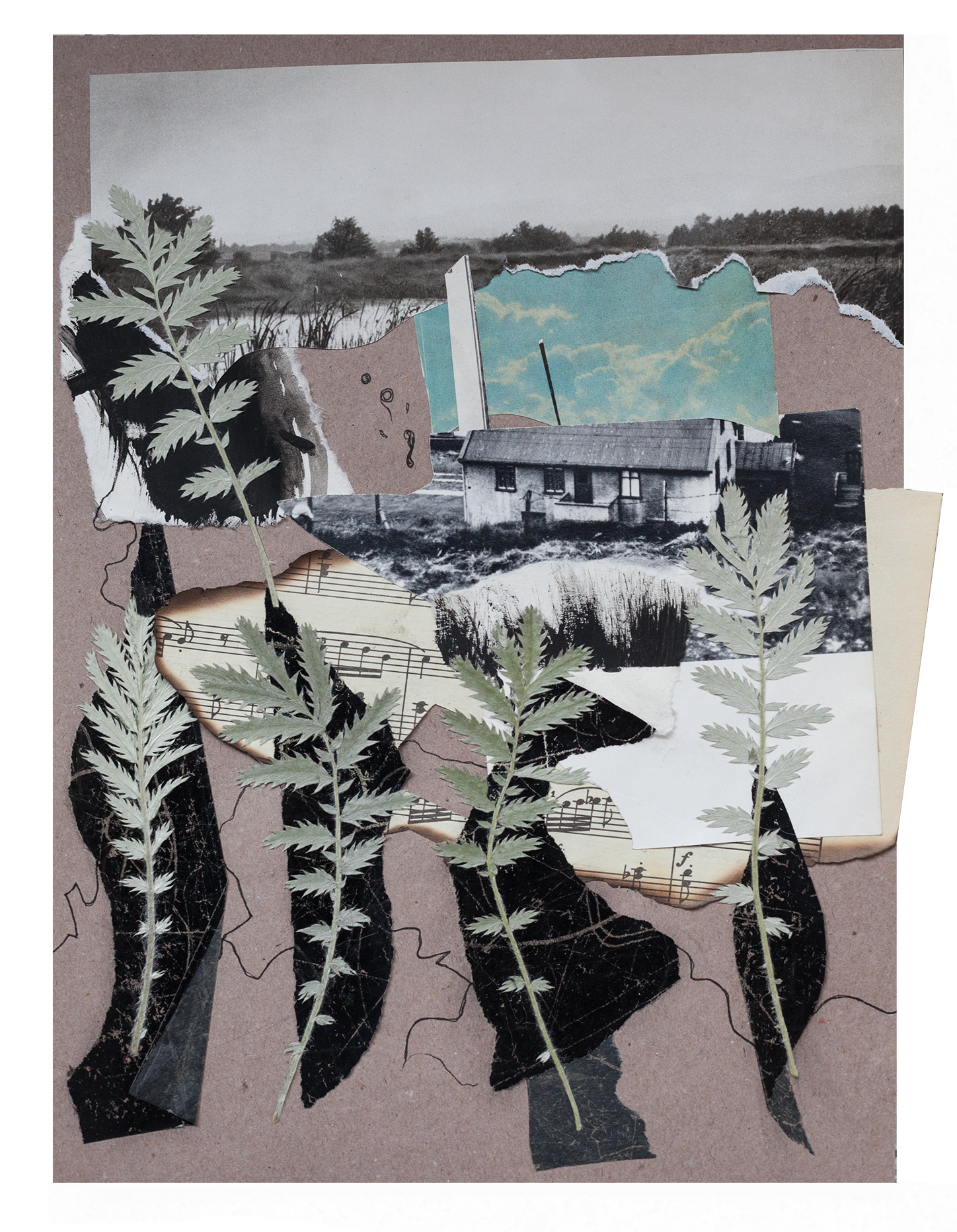 Коллажная практика «Визуальная поэзия» (4 A-S-H). Alya Segova