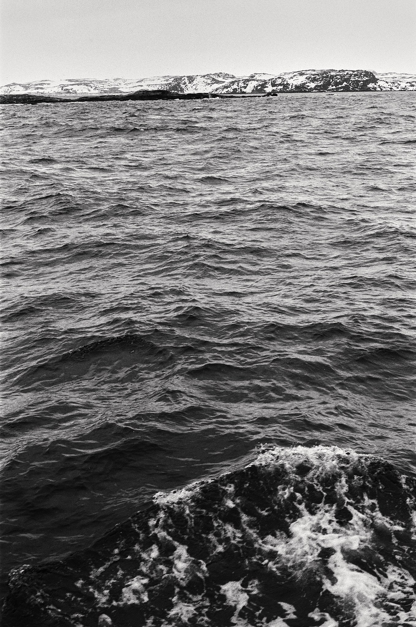 Teriberka (Murmansk). The Other Pavel Potseluev — film photography and mastery of meat business