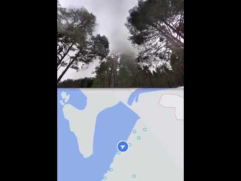 AIR Ryabushinsikh’s Dacha. Shalygina Yulia