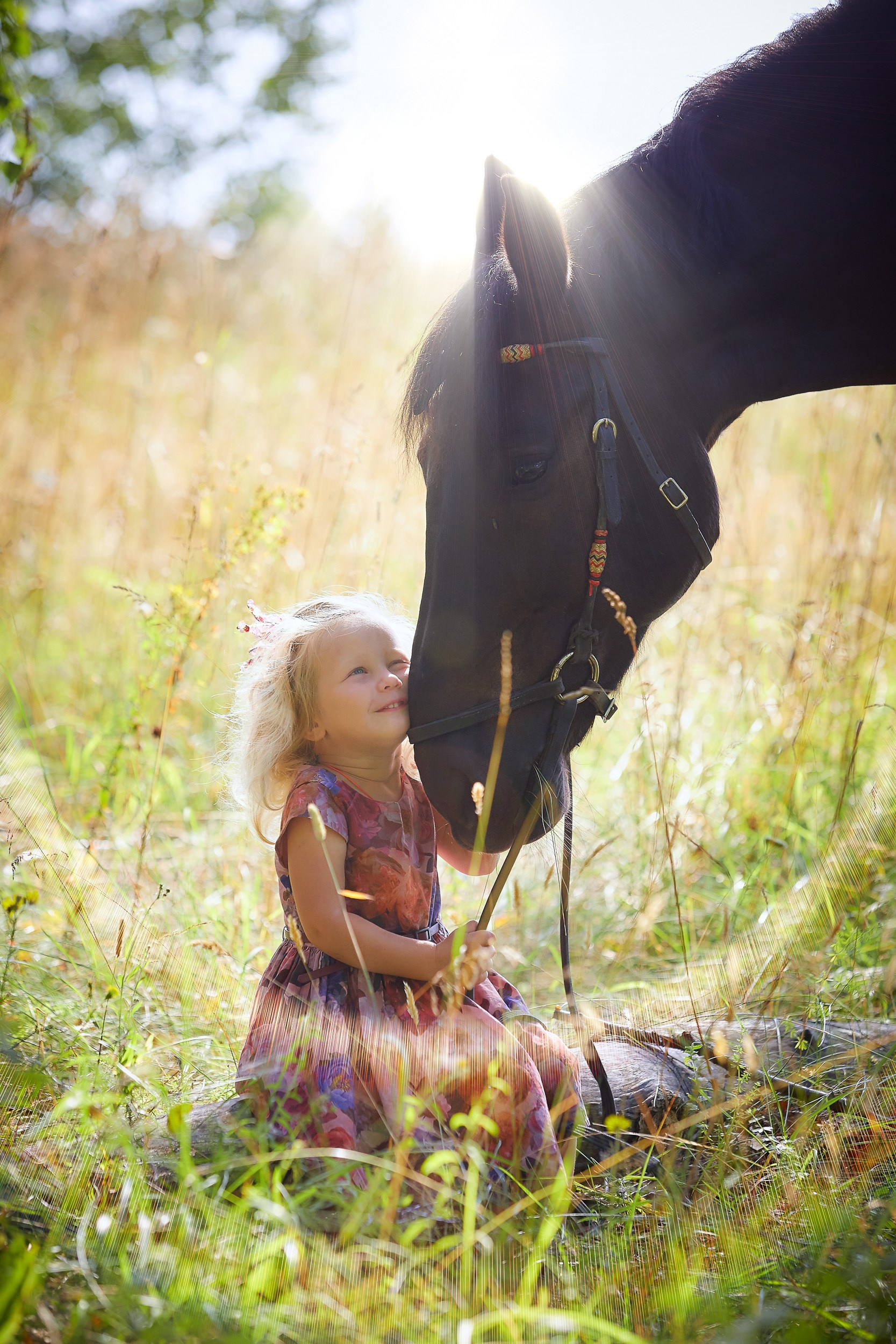 Фотосессия с лошадьми Фотограф Михаил Семенов, г. Ярославль