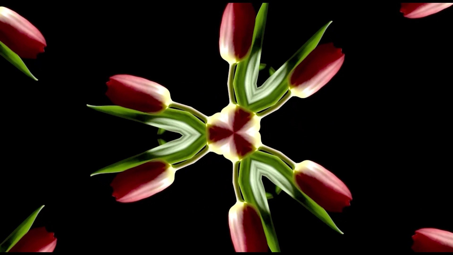 Работы. Видеопродакшен полного цикла