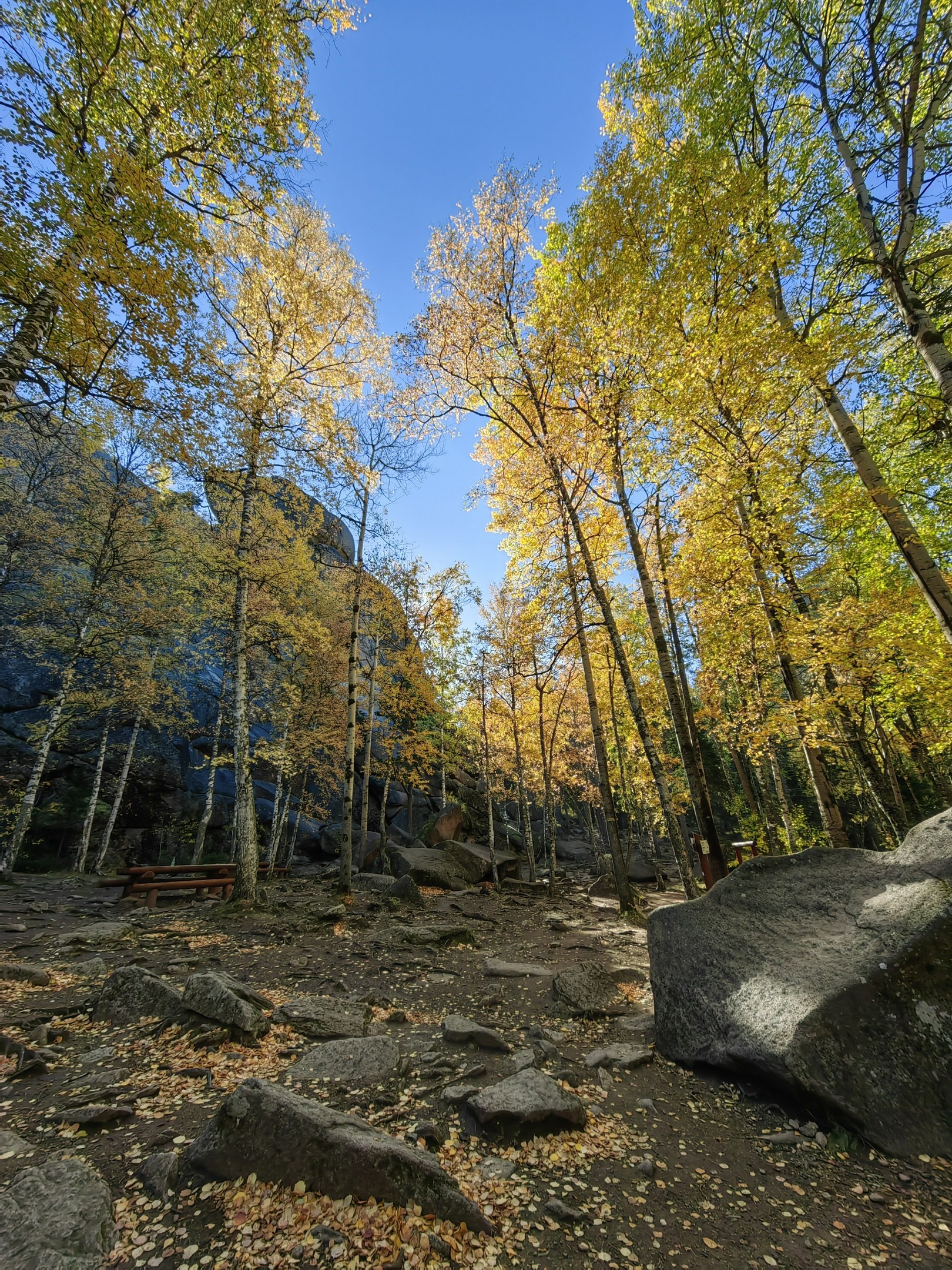 Экскурсия фото тур Национальный парк заповедник Красноярские столбы фотосессия маршрут путешествие личный гид Красноярск