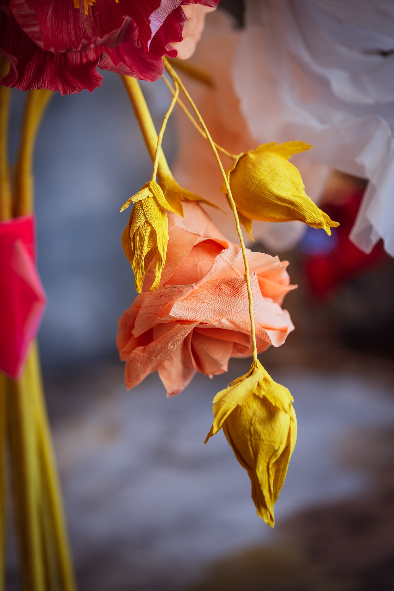 Фотостудия интерьерная в Туле — Давинчи |Davinci