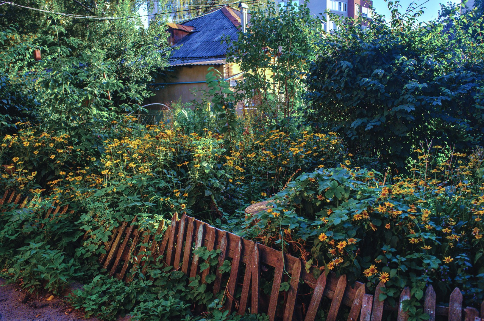 Руслан Шувалов (поэтограф)