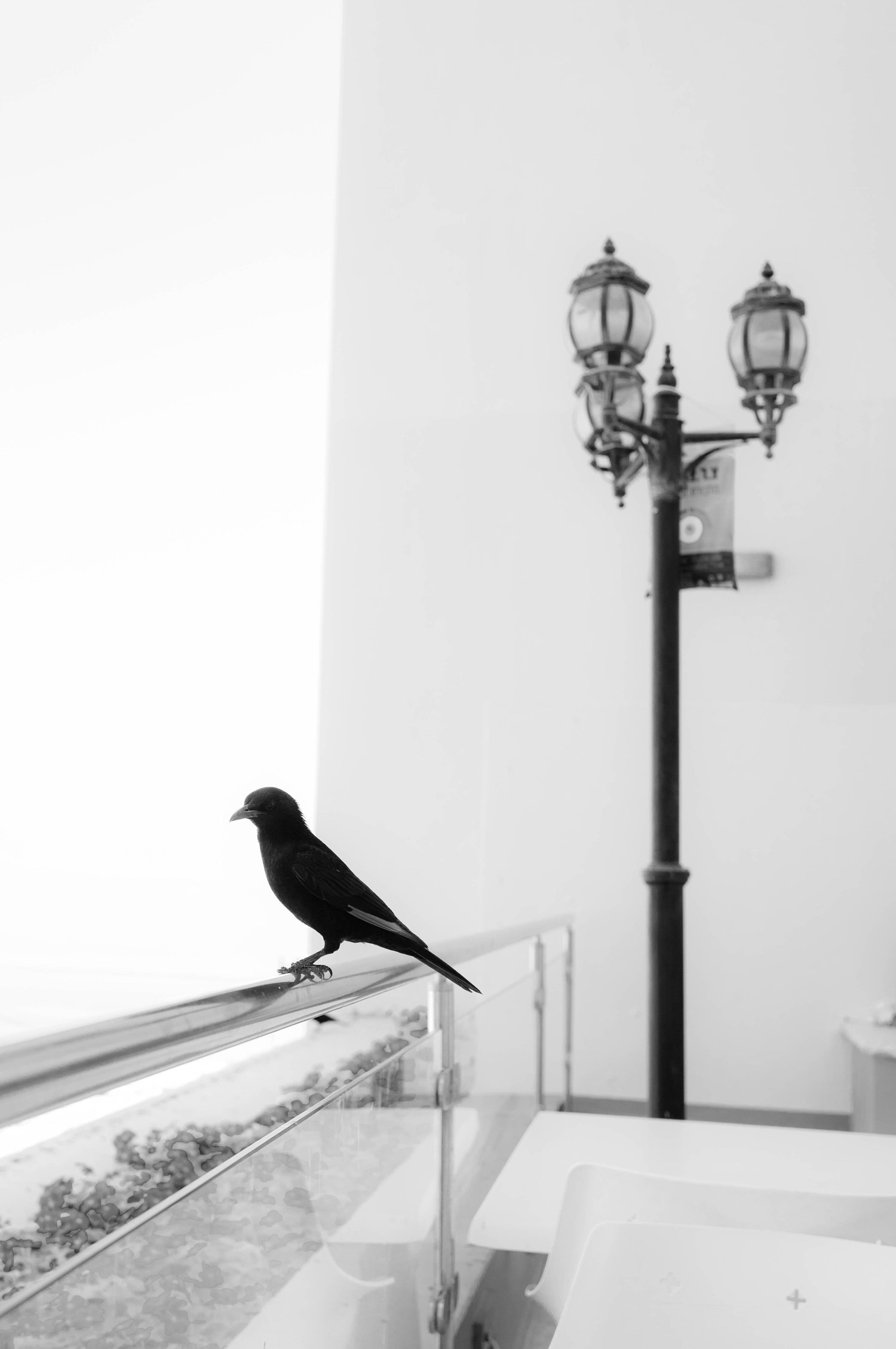 Обучение. Рекламный фотограф