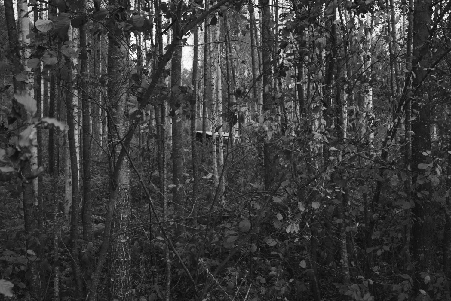 Непокорённая земля. Пылина Ирина — современная фотография