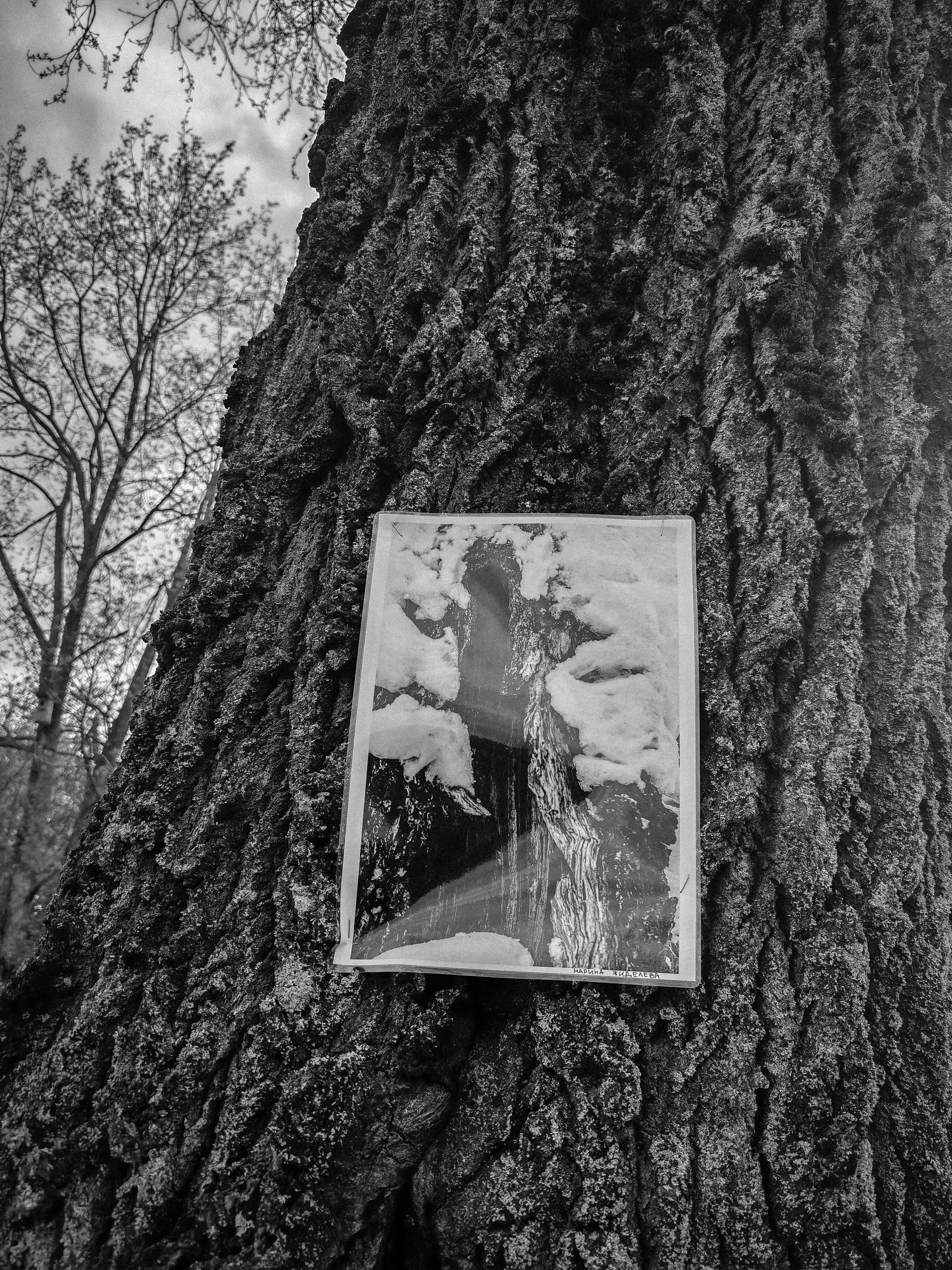 Открытие выставки «Русское осознанное». Фотохудожник Марина Жиделева