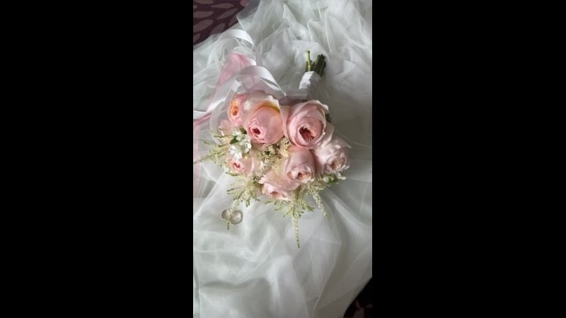 Рилсы, клипы. Свадебный и репортажный фотограф (Москва, Королев и другие)