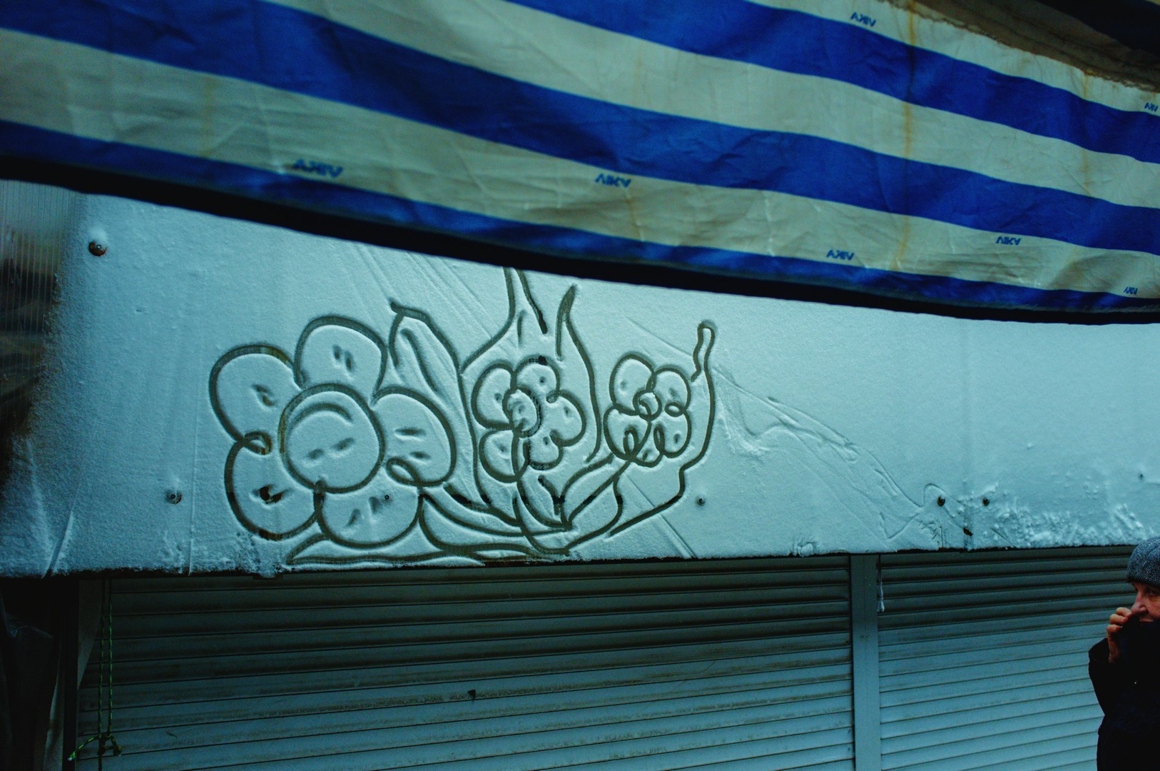 Зима уходящая. Руслан Шувалов (поэтограф)