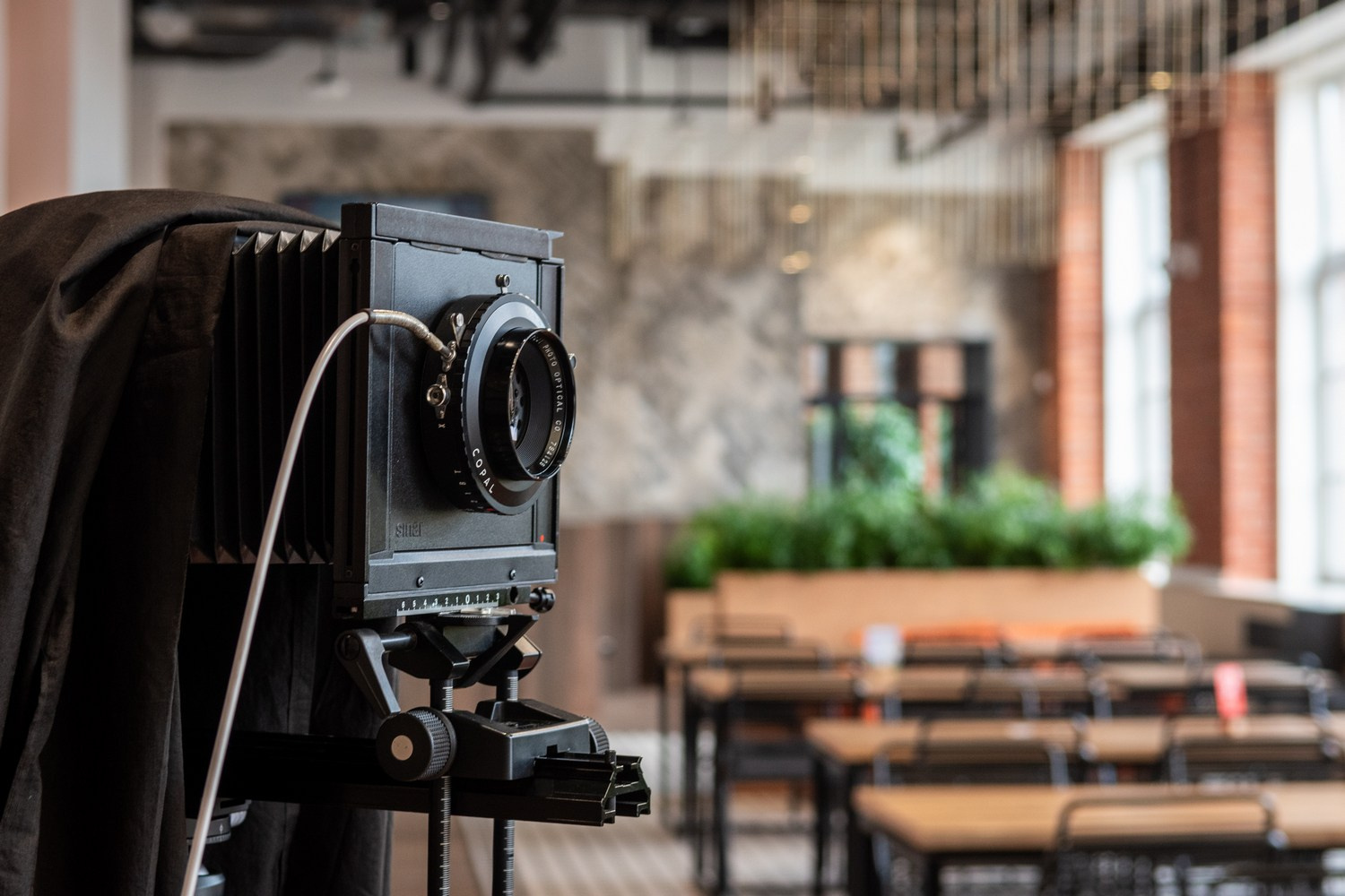 Мастер-класс по съемке камерой большого формата. PHOTO COMMUNITY #SBERTEAM