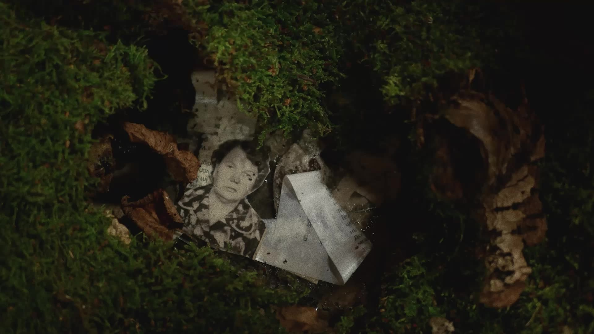 Кино. Михаил Барановский