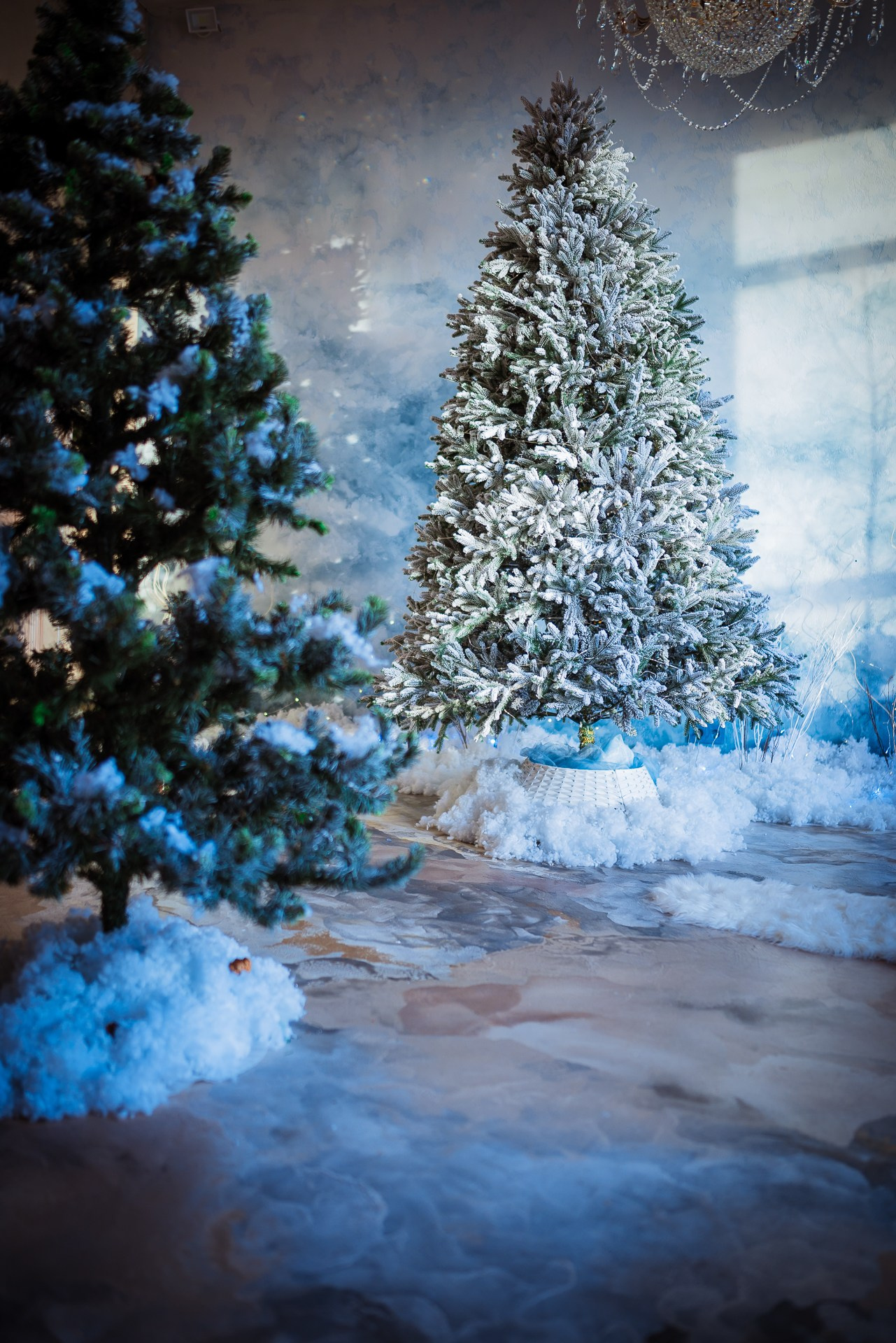 Фотостудия интерьерная в Туле — Давинчи |Davinci