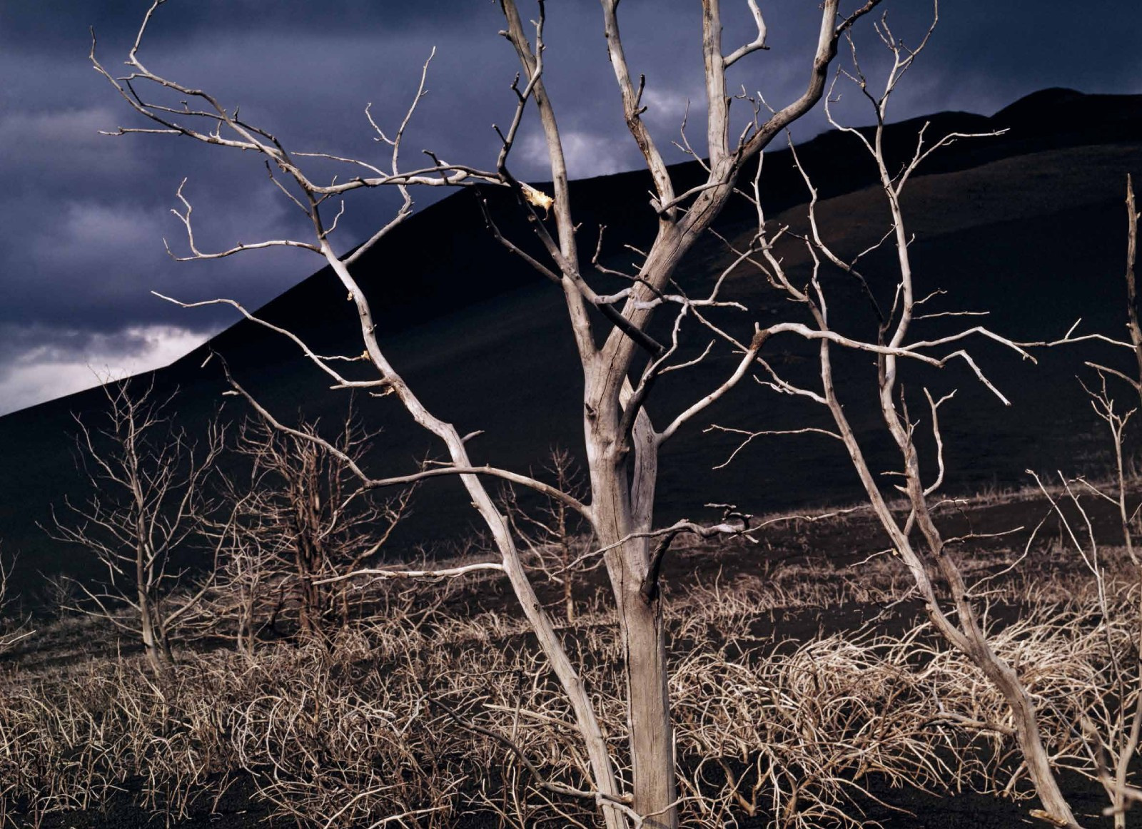 Коллекционные альбомы. ВАДИМ ГИППЕНРЕЙТЕР — ВЕЛИКИЙ ФОТОГРАФ ЗЕМЛИ РУССКОЙ