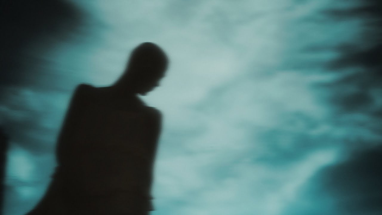 VIDEO. Елена Скалдина, видеограф СПб