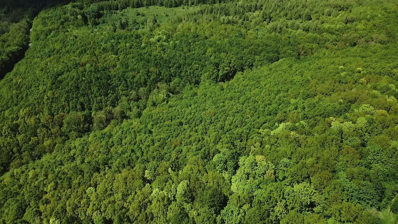 ПОРТФОЛИО | ВИДЕО. DRONBERRY — Аэросъемка Ярославль