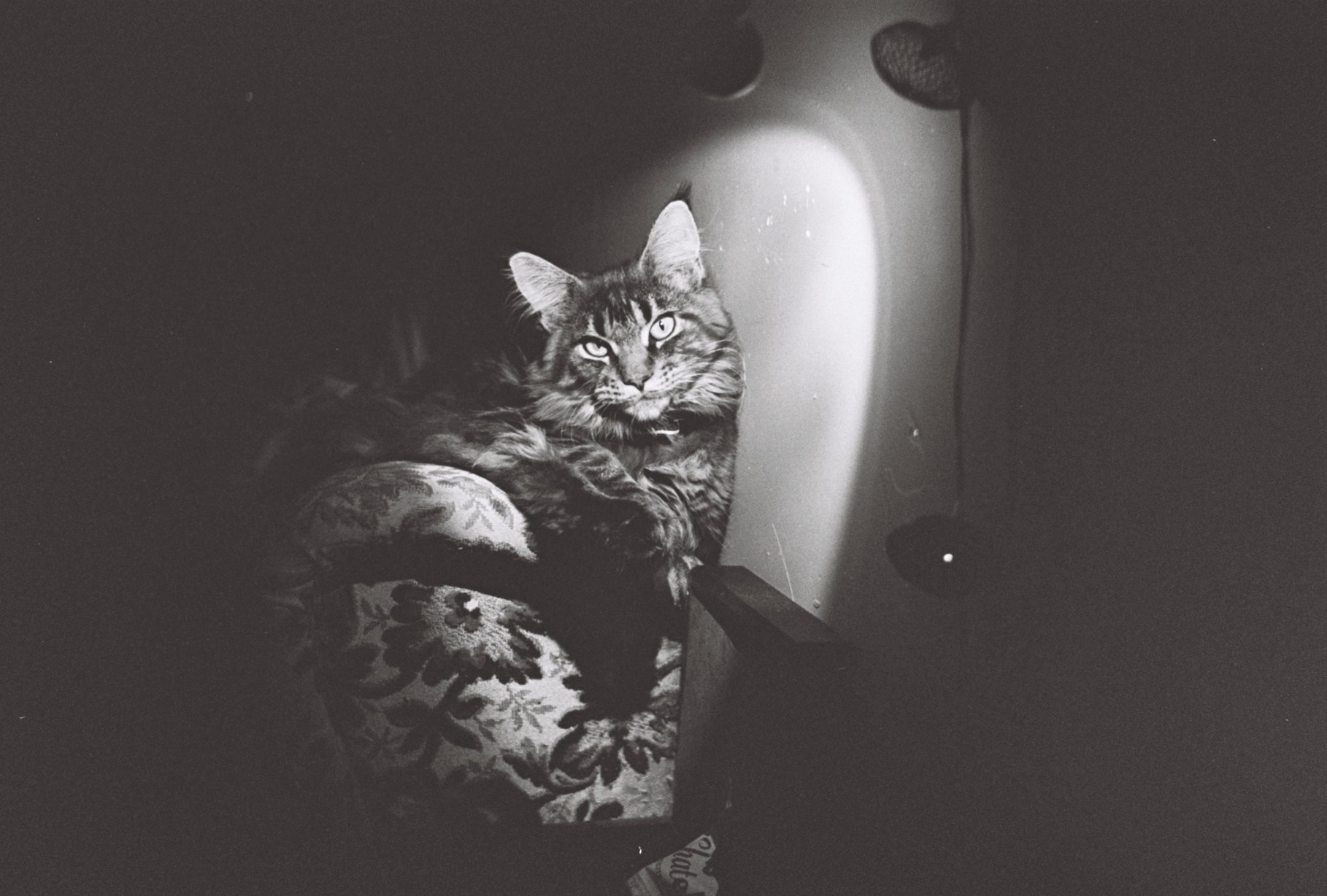 ∞. Художественная фотография. Фотография на плёнку. Илья Вараксин