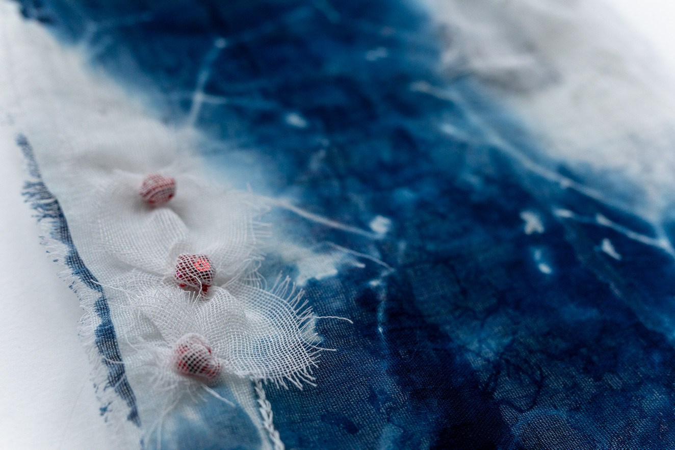 CYANOTYPE. CONTEMPORARY ARTIST OLGA ANDRIYASH
