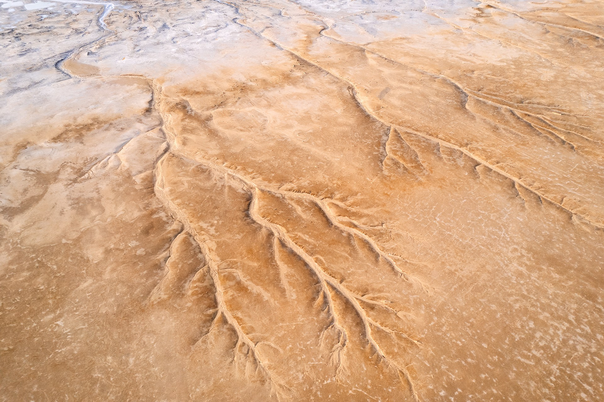 Волгоградская и астраханская области Весна 2026 | Фотограф Дмитрий Купрацевич. Дмитрий Купрацевич профессиональный пейзажный и travel-фотограф