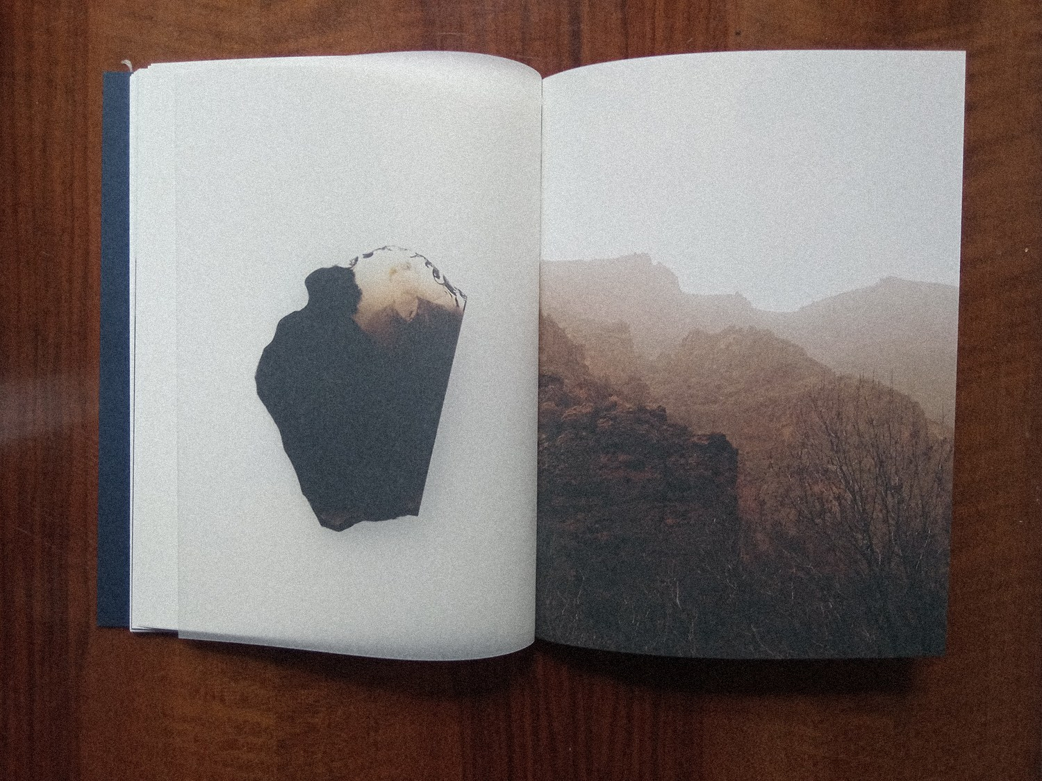 Книга «Dame Gulizar and Other Love Stories» Ребекки Топакян. Private image