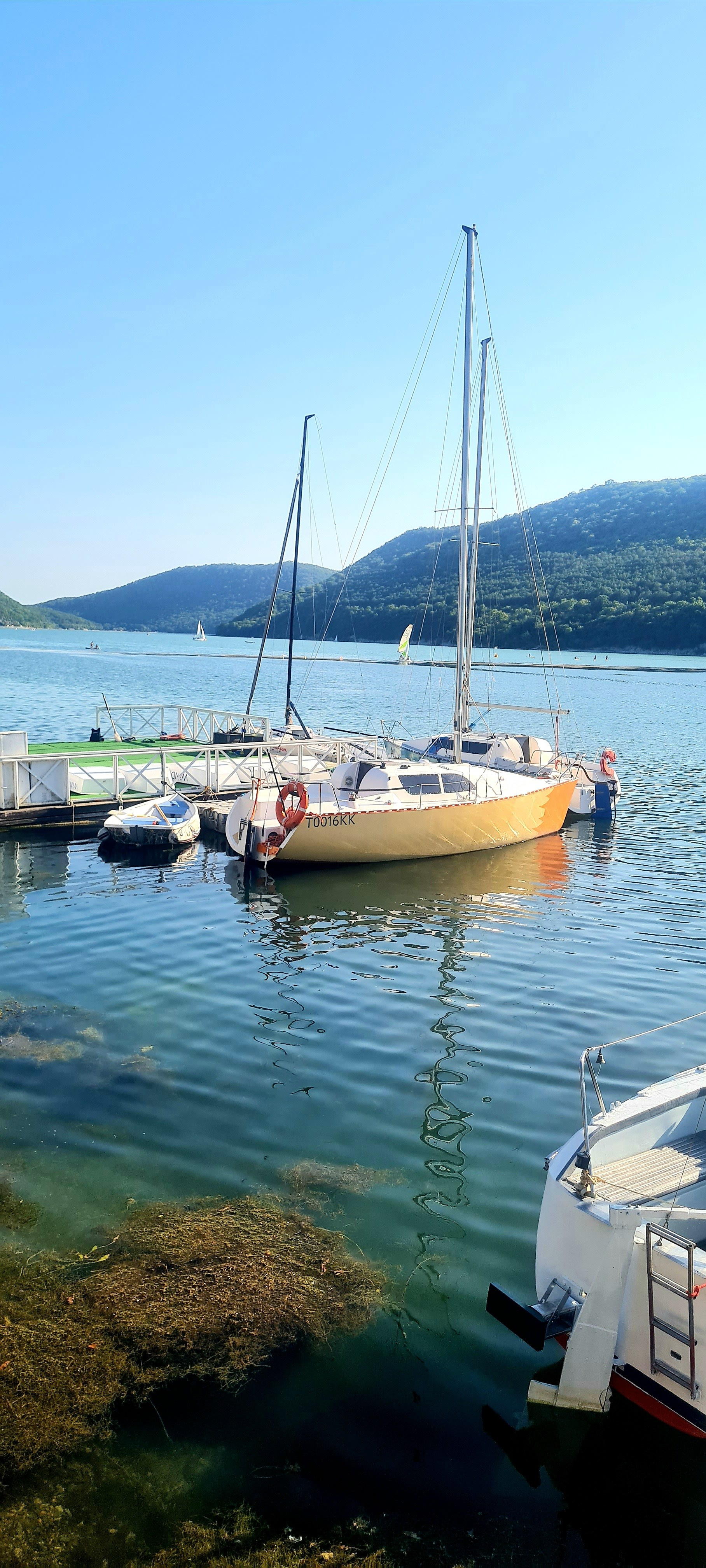 Организация свадьбы в Абрау-Дюрсо. Свадьба в Абрау-Дюрсо