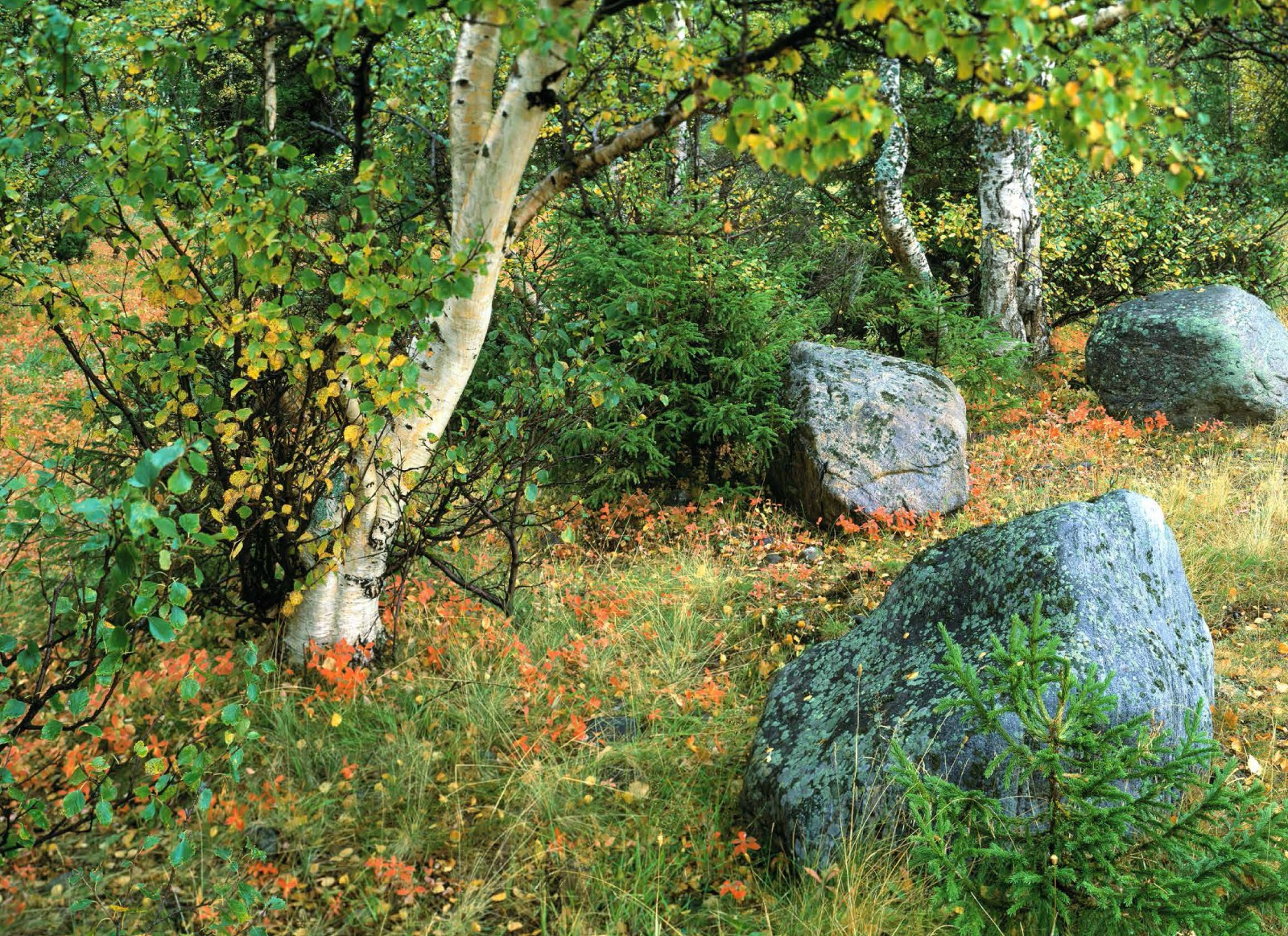 Коллекционные альбомы. ВАДИМ ГИППЕНРЕЙТЕР — ВЕЛИКИЙ ФОТОГРАФ ЗЕМЛИ РУССКОЙ