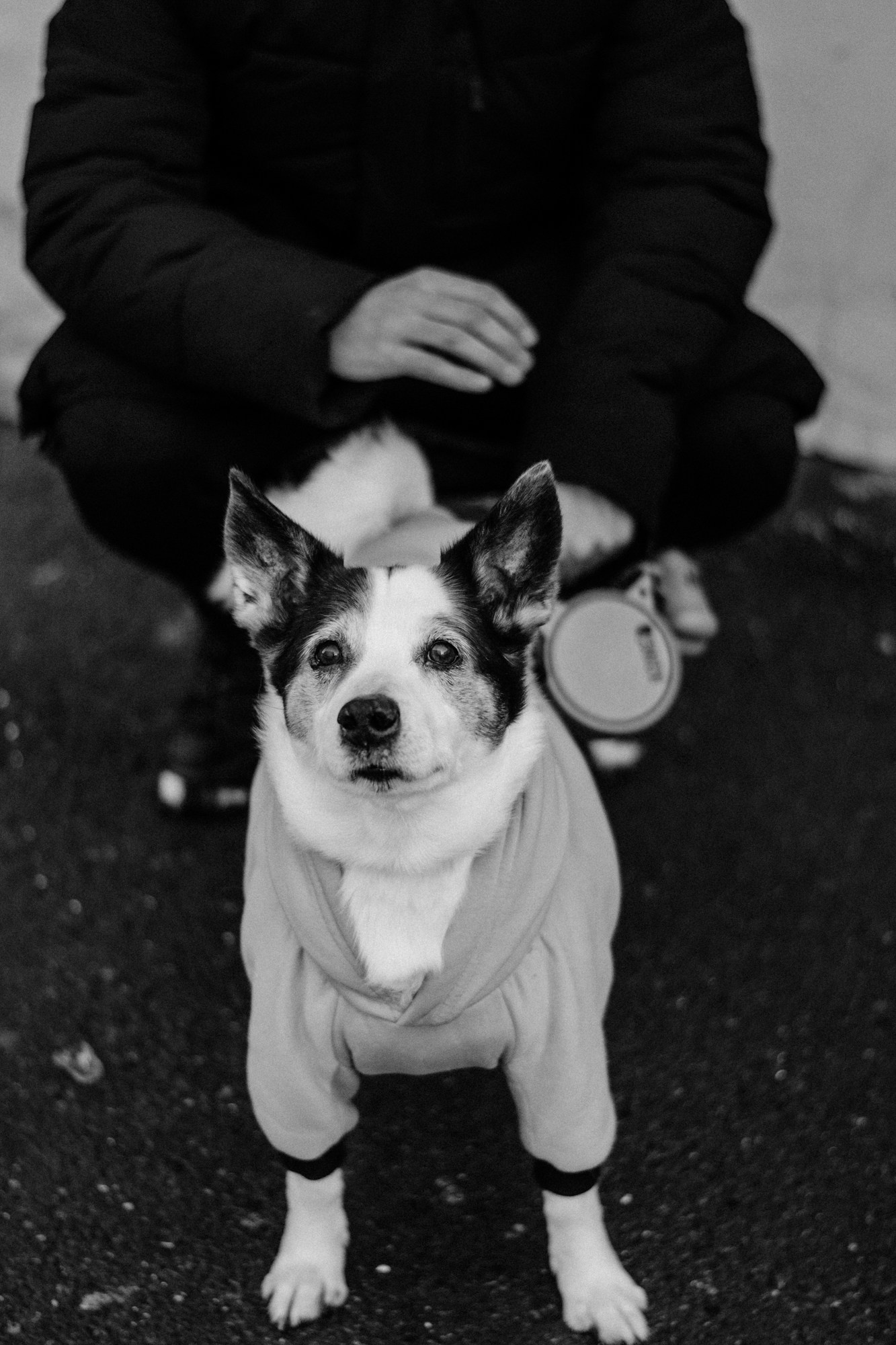 Мужская фотосессия с собакой в Тюмени — Саша и Тони. Фотограф Дарья Мустафина, Тюмень