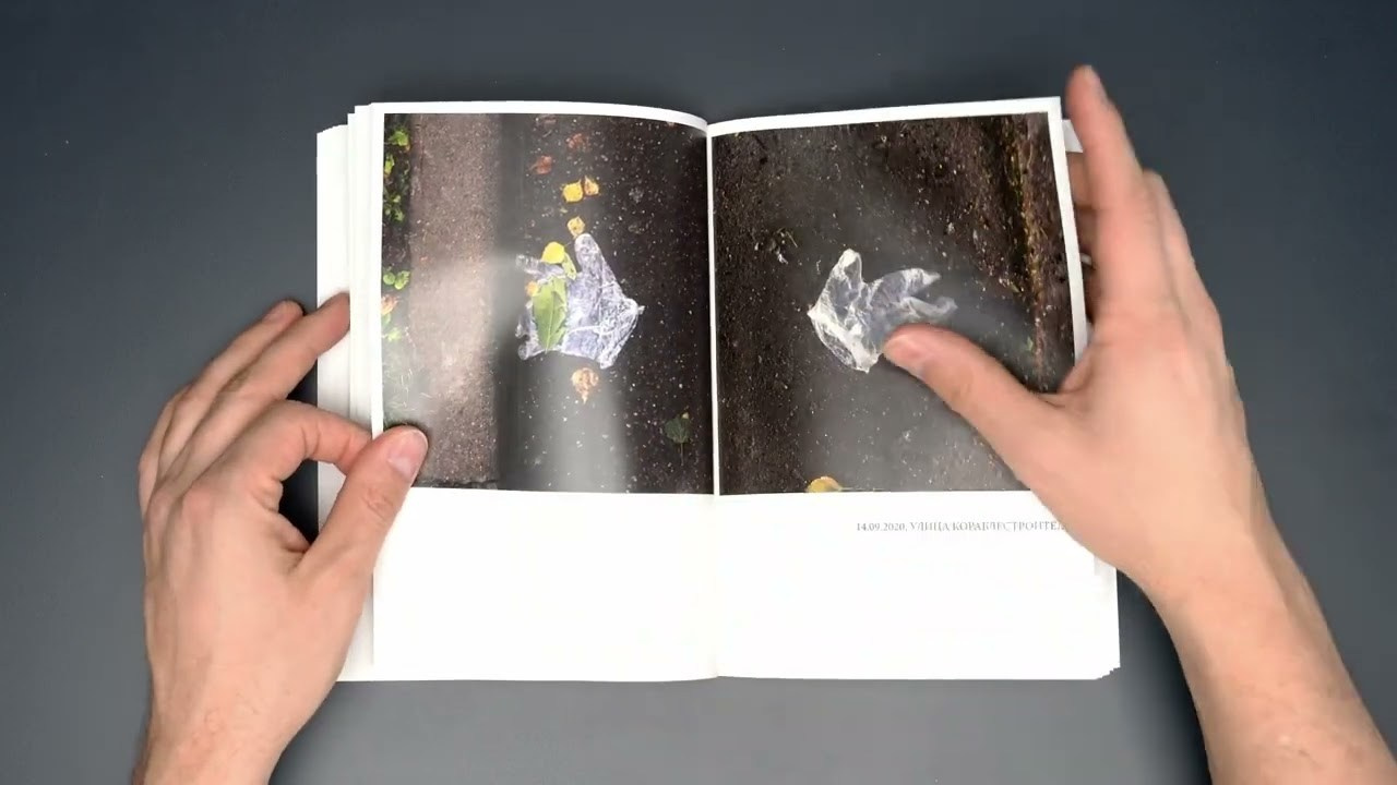 Книги. Василий Пиндюрин визуальный художник