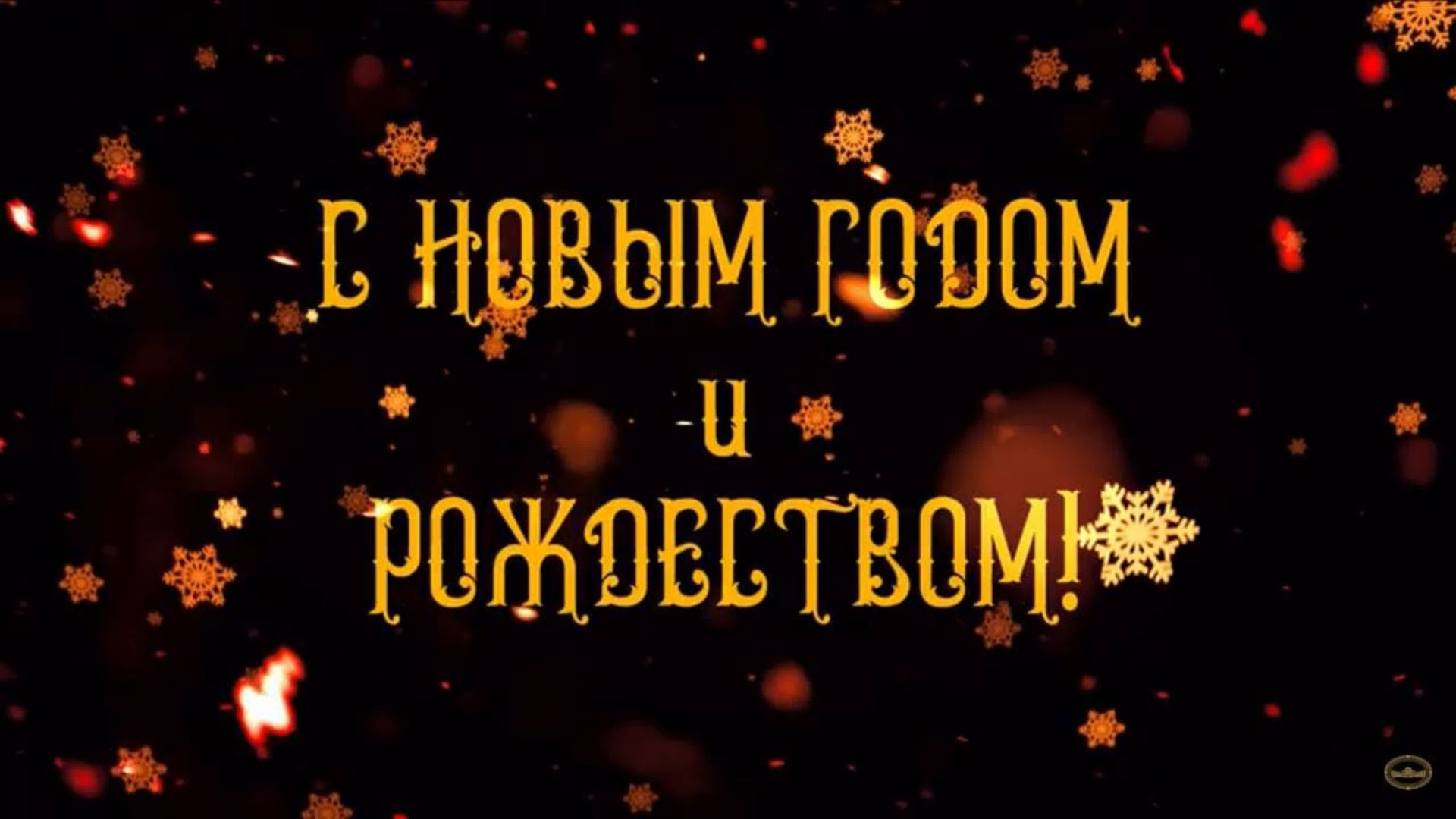 Видеосъёмка мероприятий и контента для соцсетей. Профессиональный видеограф в Санкт-Петербурге Алексей Ставрович
