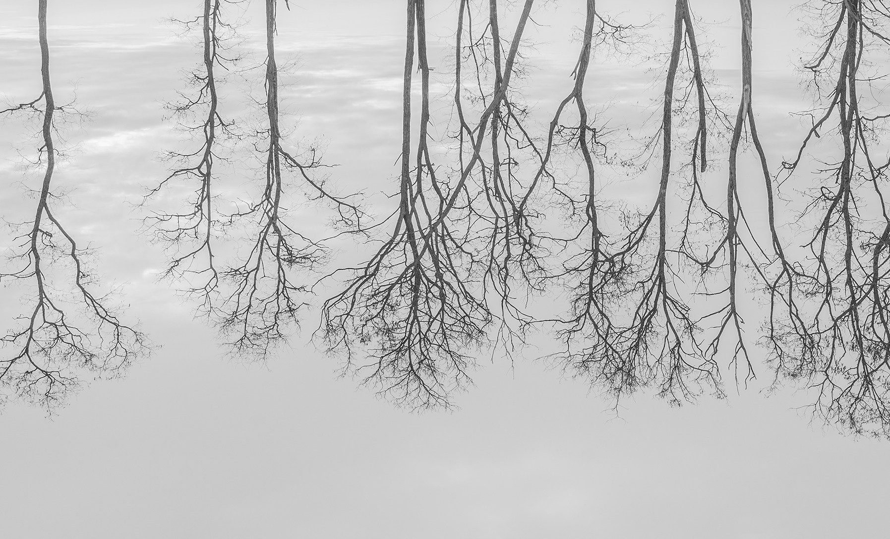 Компот с виноградом и айвой. Фотограф в Москве Алейникова Евгения