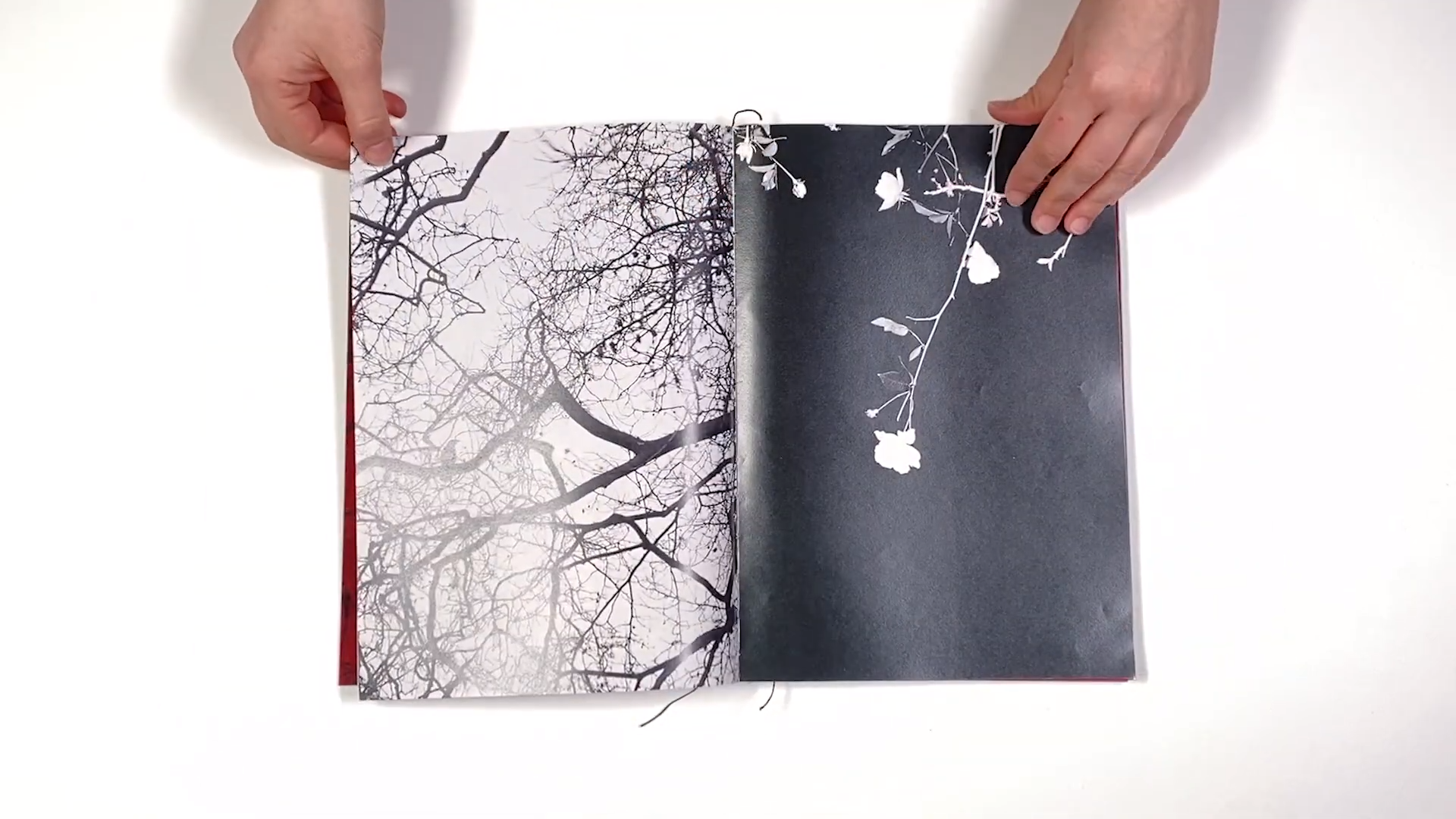 Фотокнига «Solstice» художницы Джулии Боле (Julia Bohle). Private image