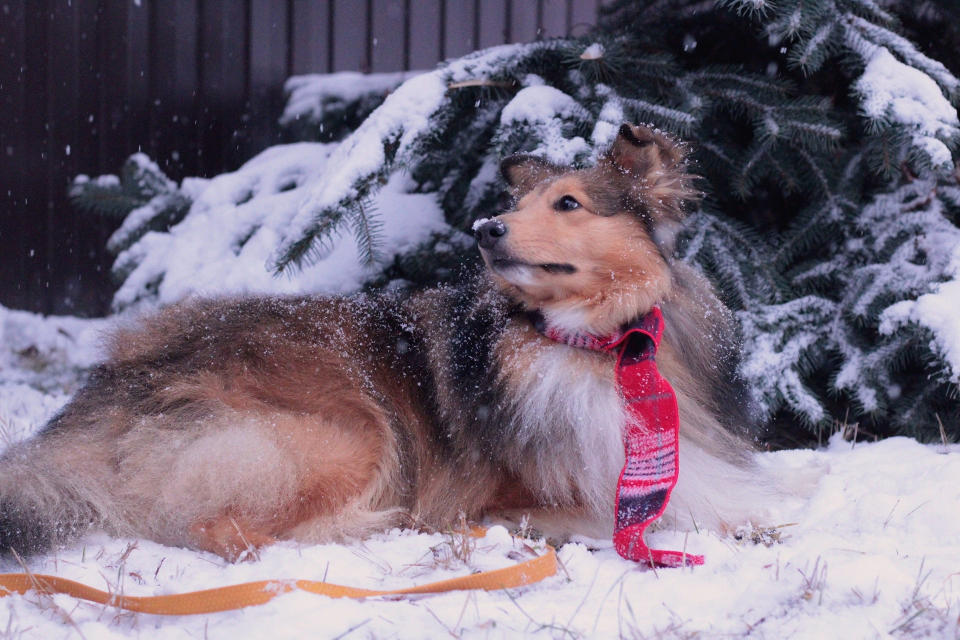 Катя Попова|ЛайфСтайл фотограф