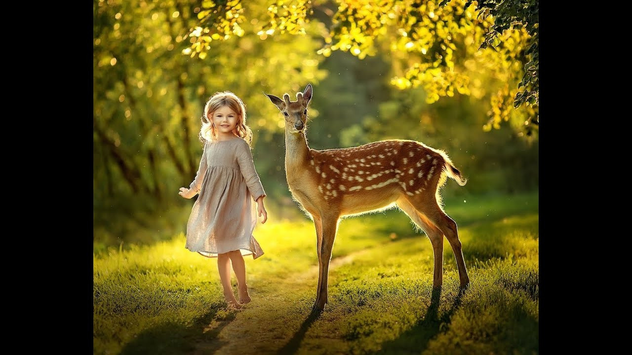 Comprar lecciones por separado. Es fotografa Elena Mikhailova