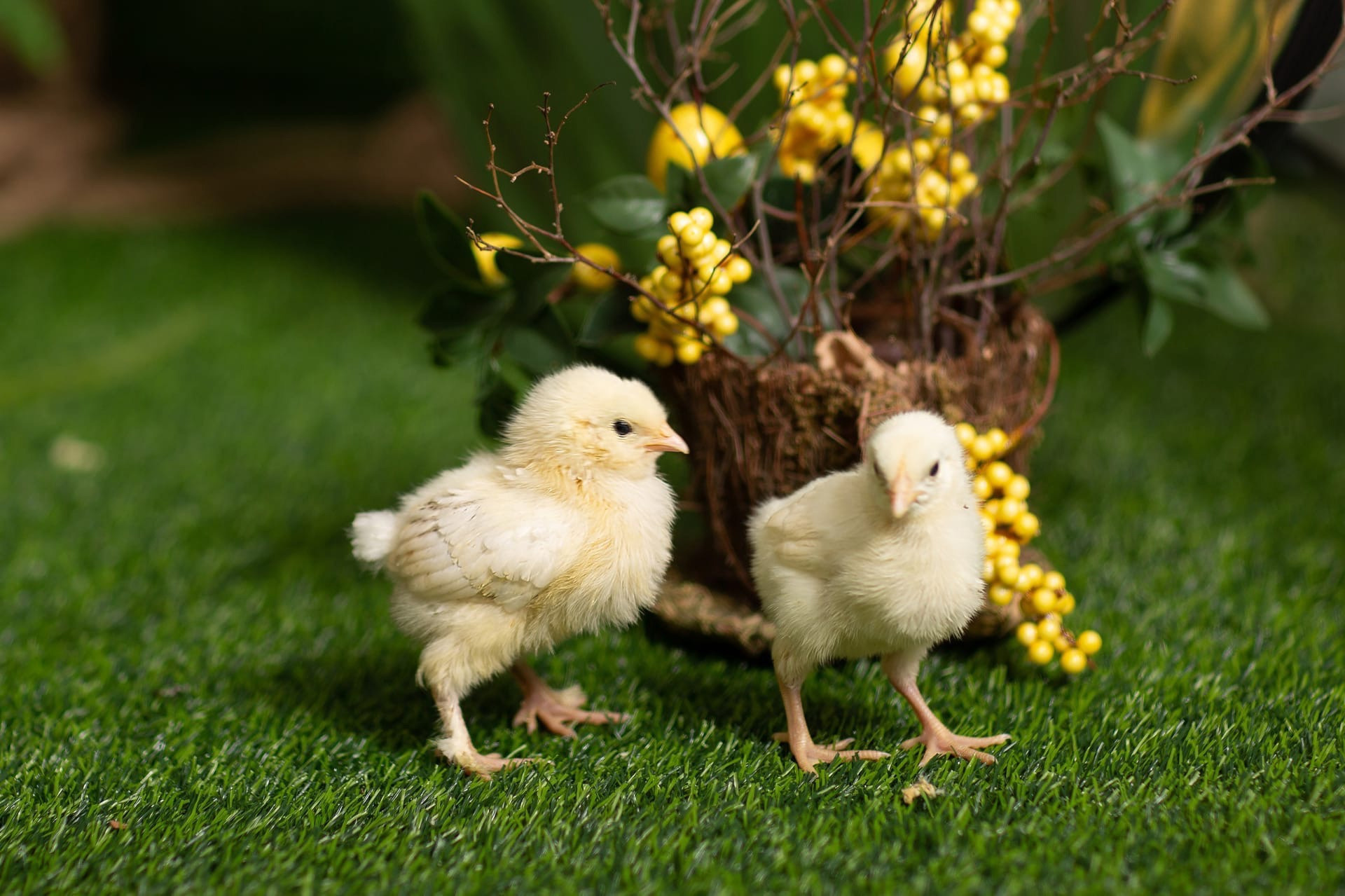 Актуальные фотопроекты в Санкт Петербурге. Фотограф Анна Скворцова. Фотограф в Санкт-Петербурге, Анна Скворцова