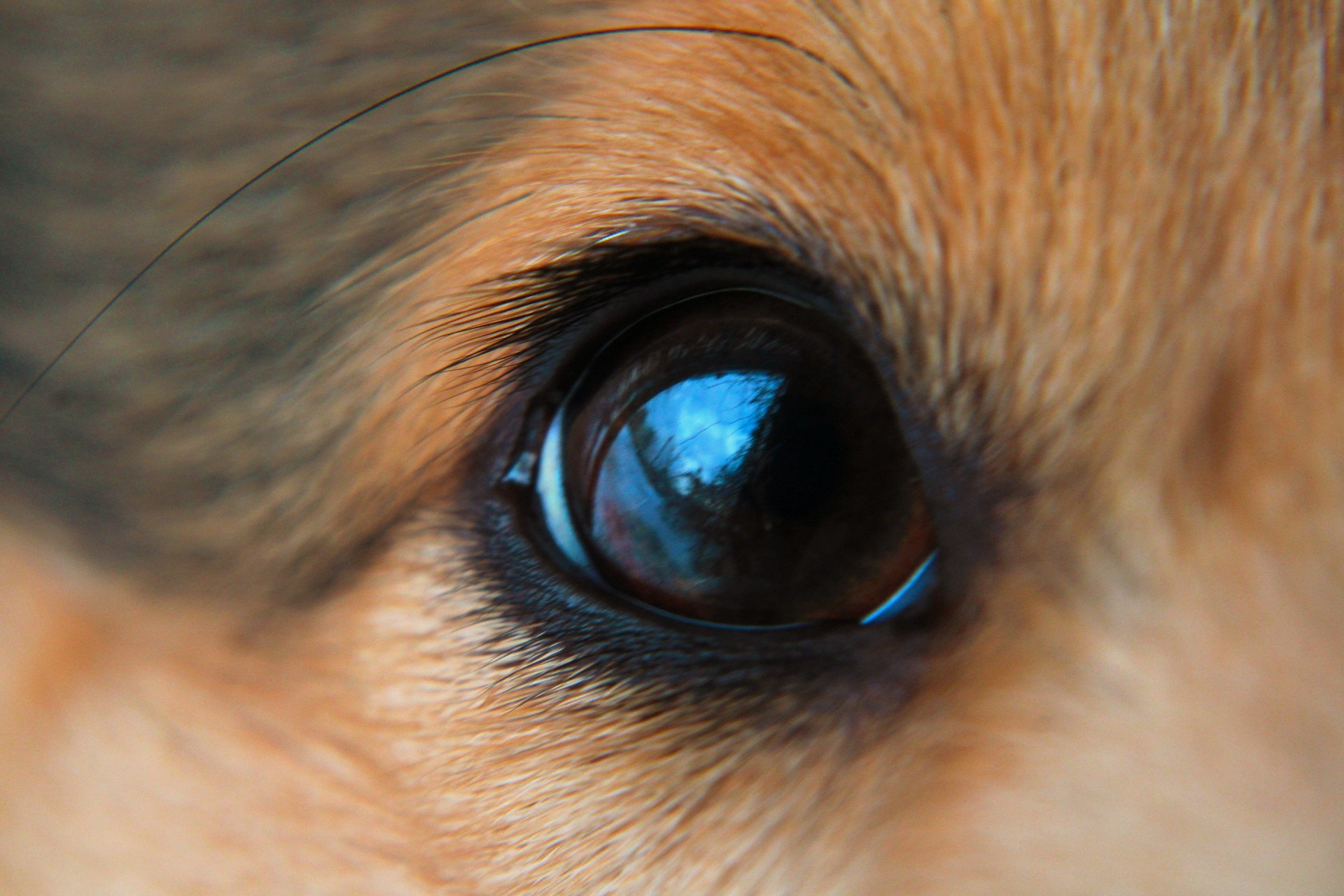 Катя Попова|ЛайфСтайл фотограф