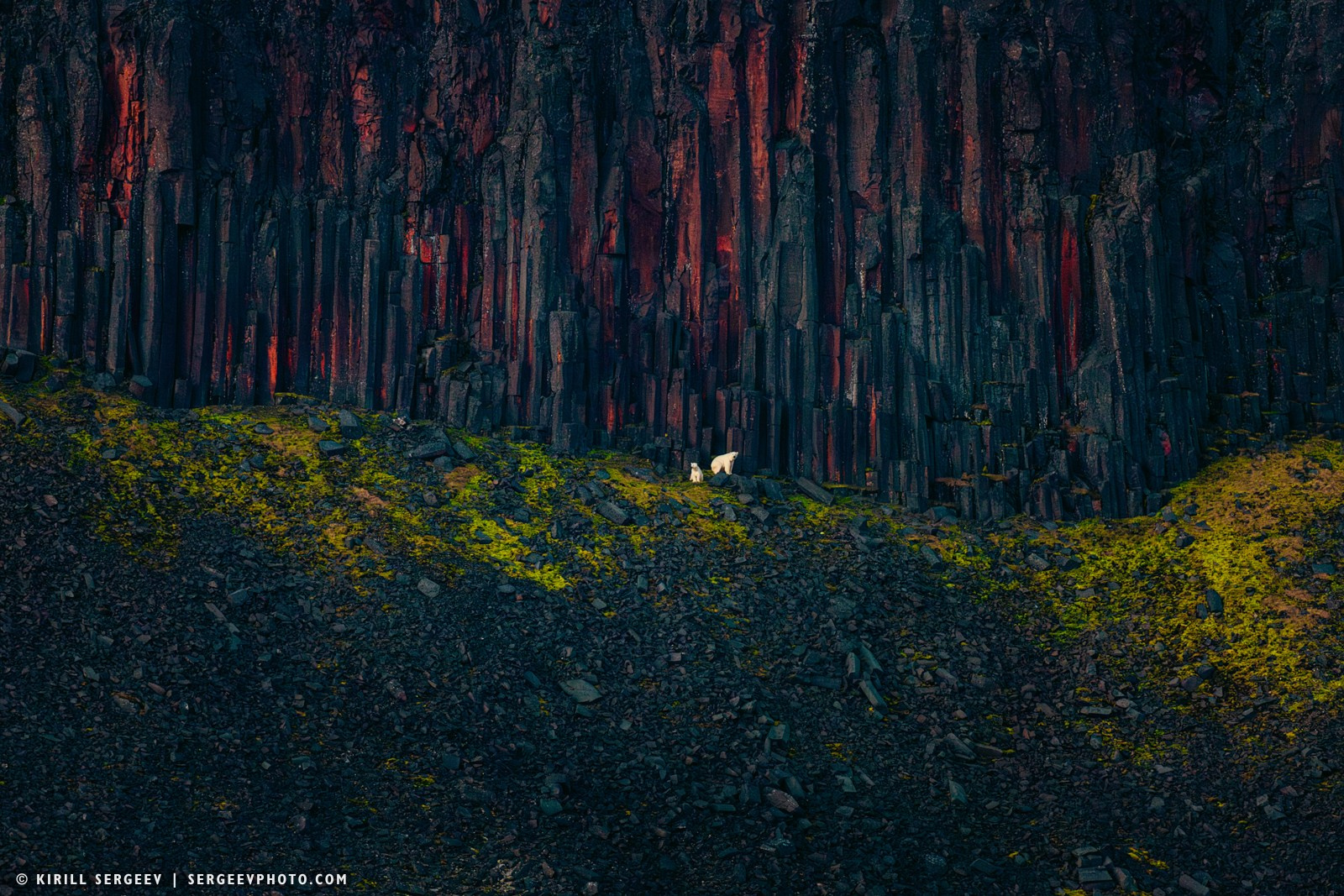 北極奧德賽. 攝影師 基里爾·謝爾蓋耶夫 |莫斯科