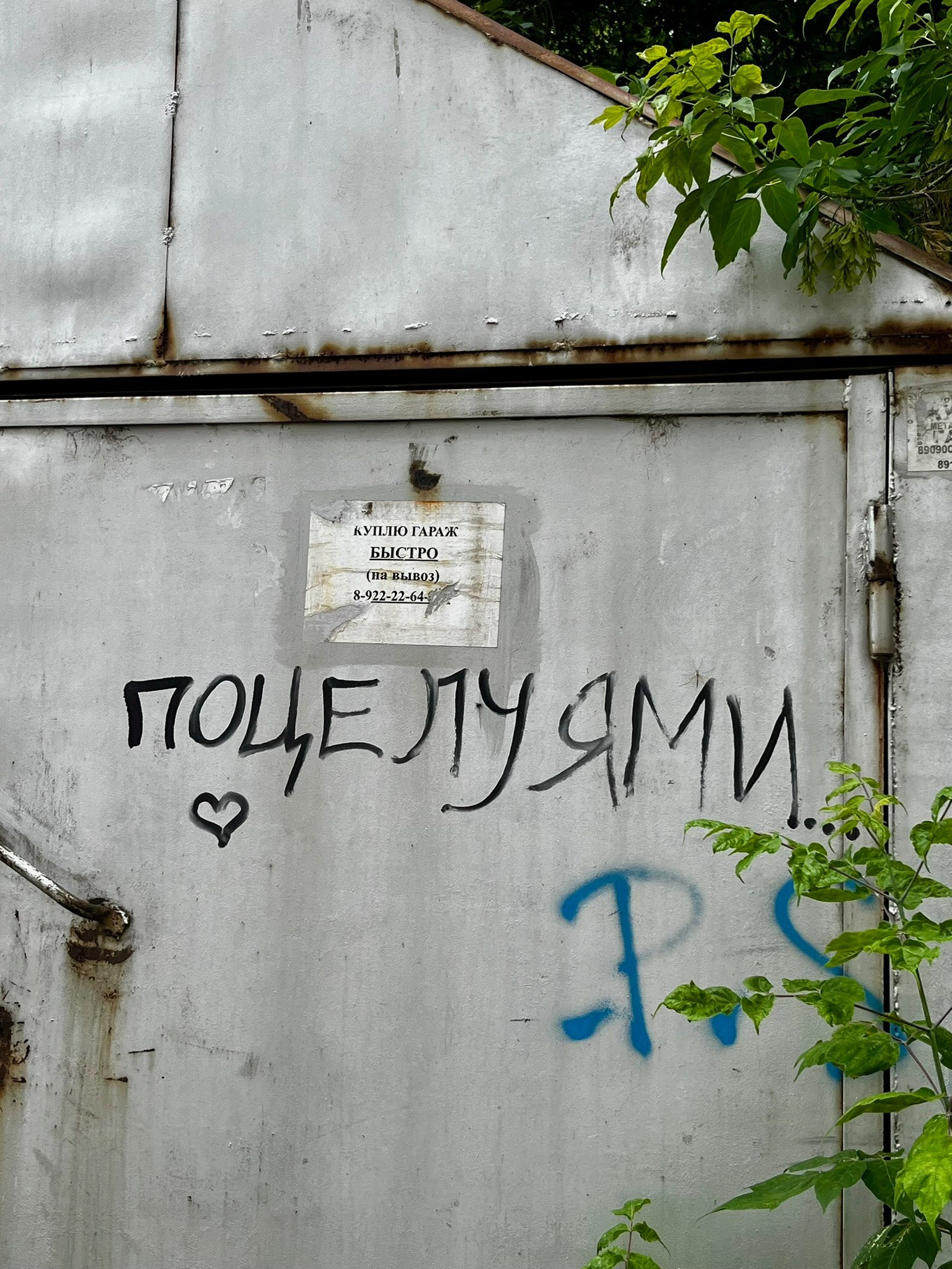 Наблюдашки Синего Будды