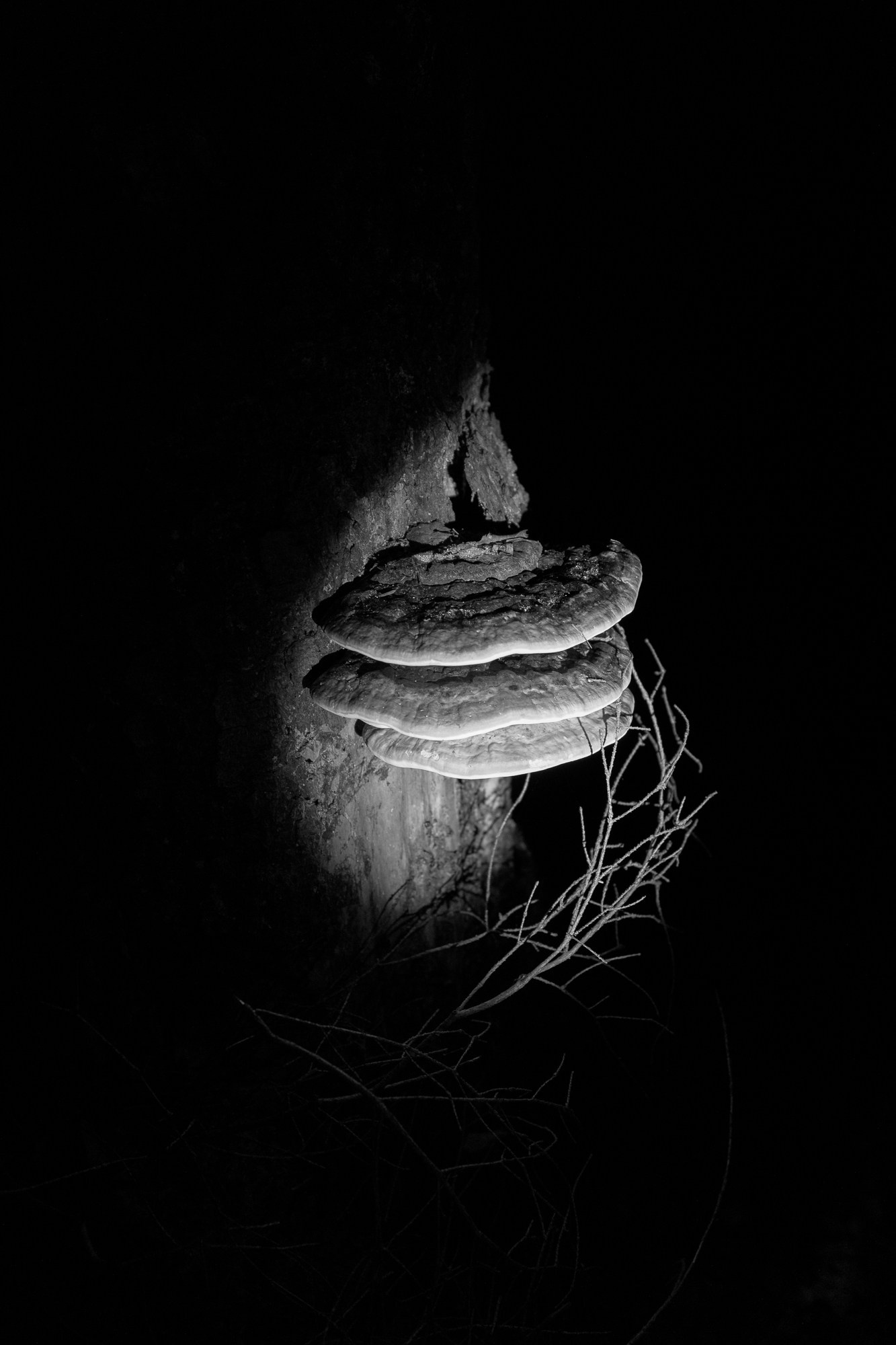 Пограничье. Юлия Леонова — фотограф, визуальный художник Минск