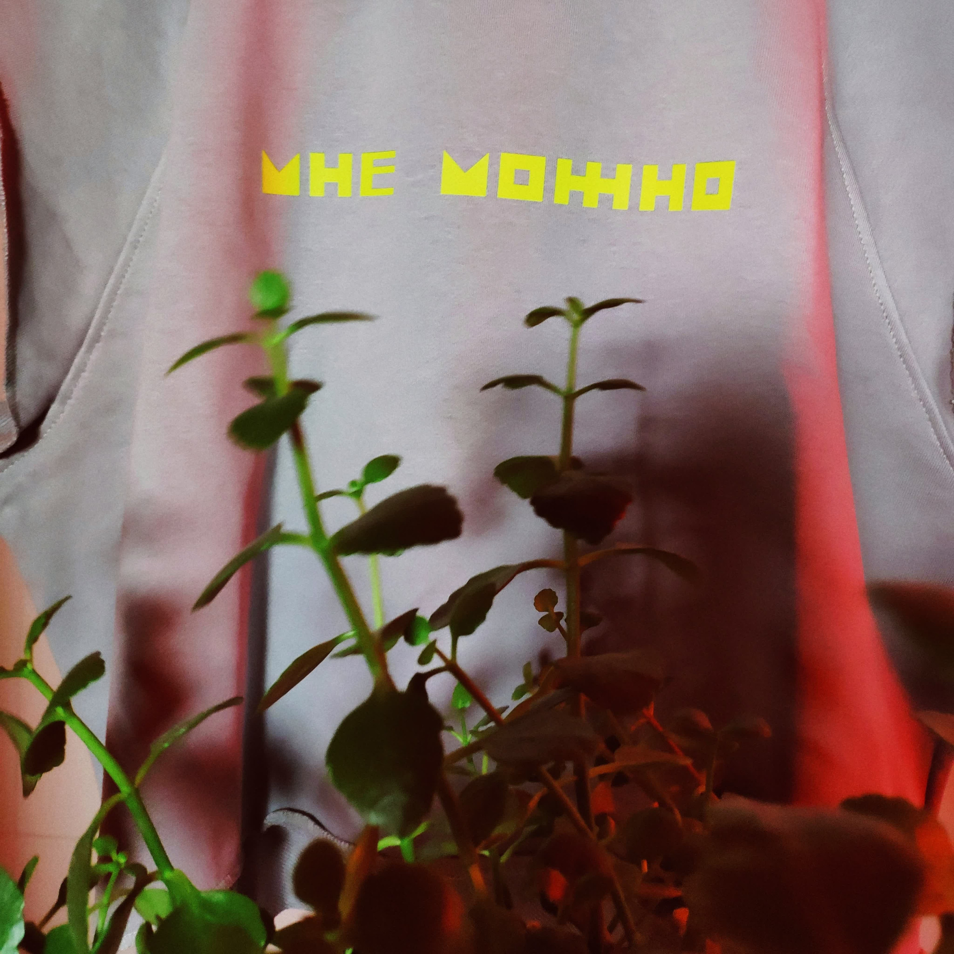 Для детей. Frantova