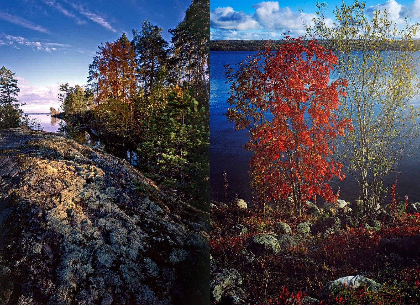 Коллекционные альбомы. ВАДИМ ГИППЕНРЕЙТЕР — ВЕЛИКИЙ ФОТОГРАФ ЗЕМЛИ РУССКОЙ