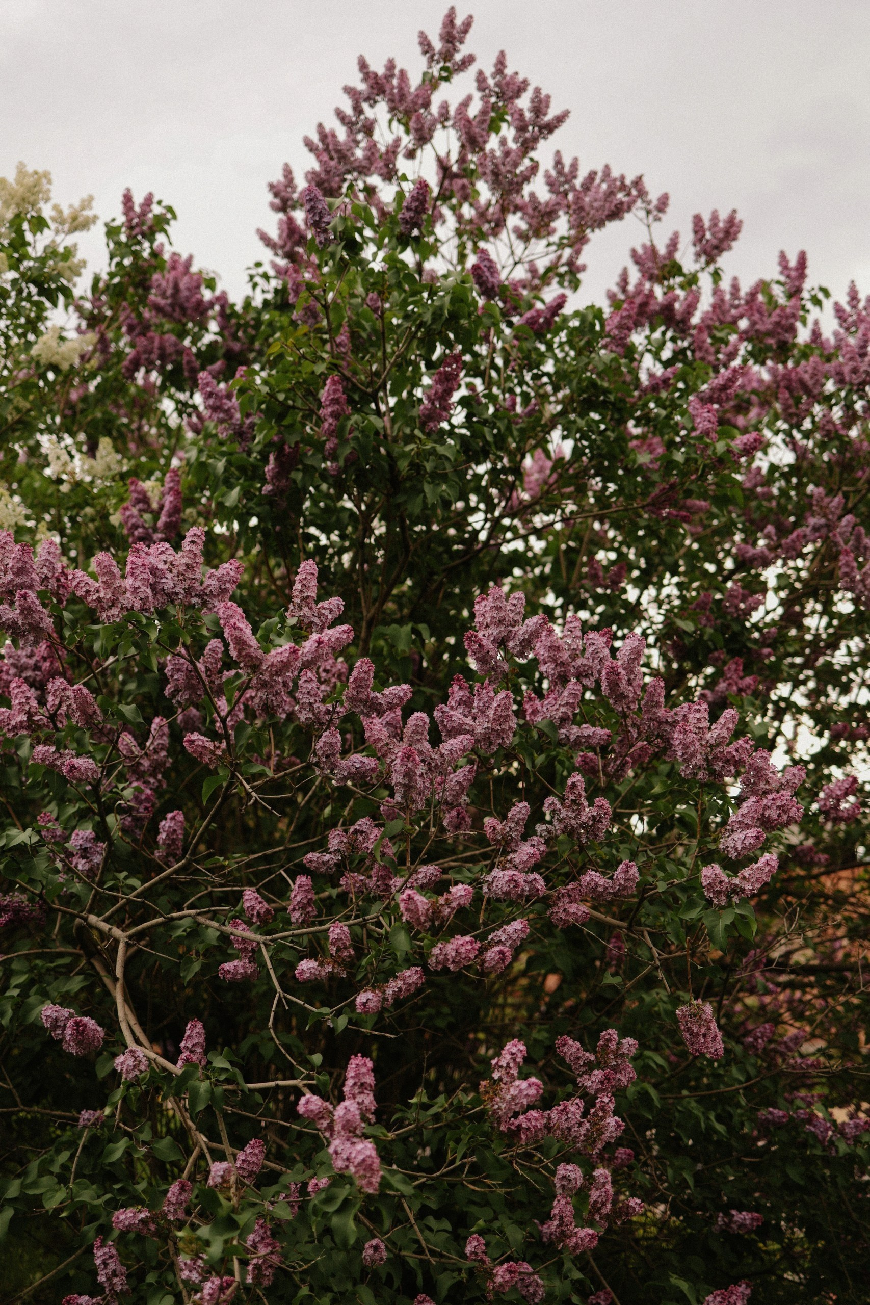 Фотопрогулки по Нижнему Новгороду. Фотограф и видеограф Елена Лисина