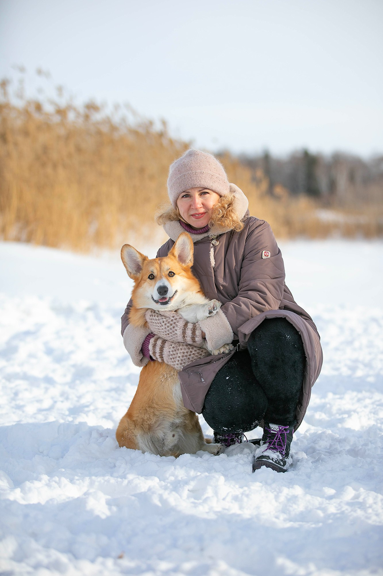 Корги-туса. Фотограф-анималист в Омске Екатерина Маричева