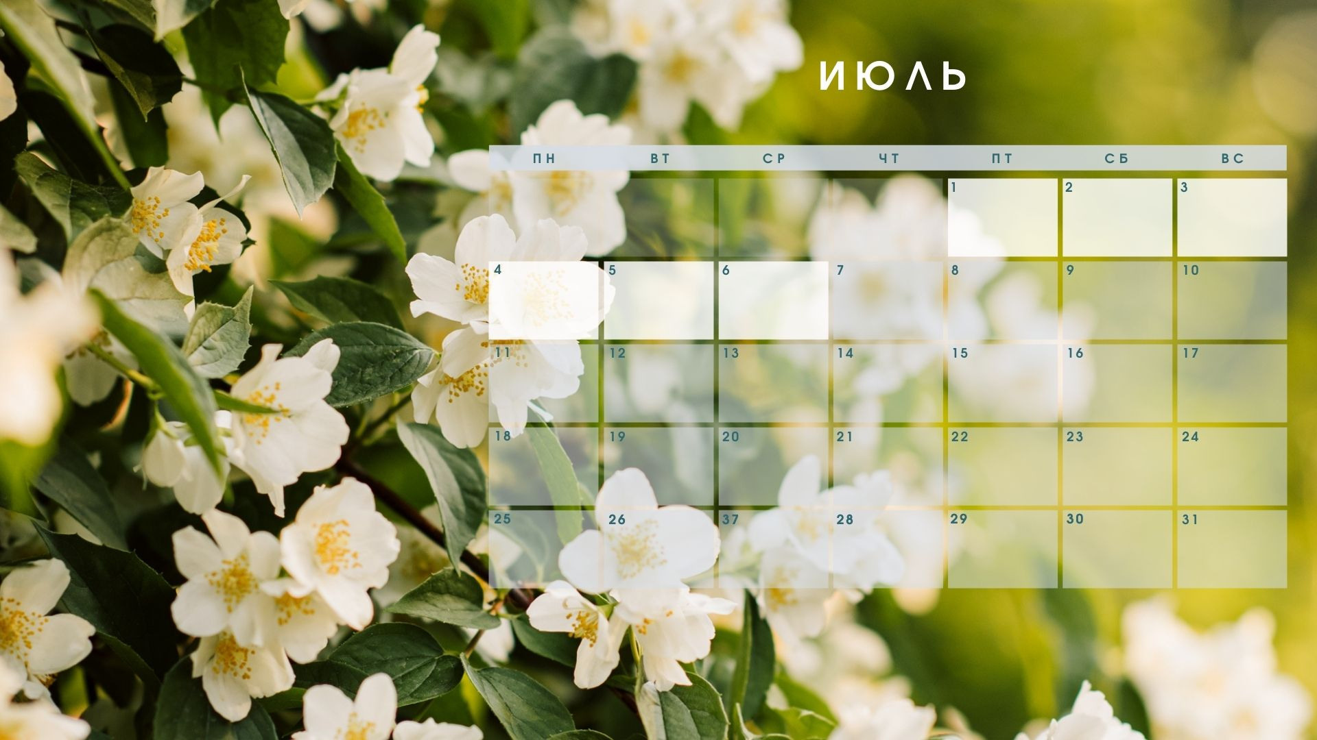 Фотосессия в яблонях в СПб, Фотосессия в цветении СПб. Семейный и Свадебный фотограф. Санкт-Петербург. Пушкин