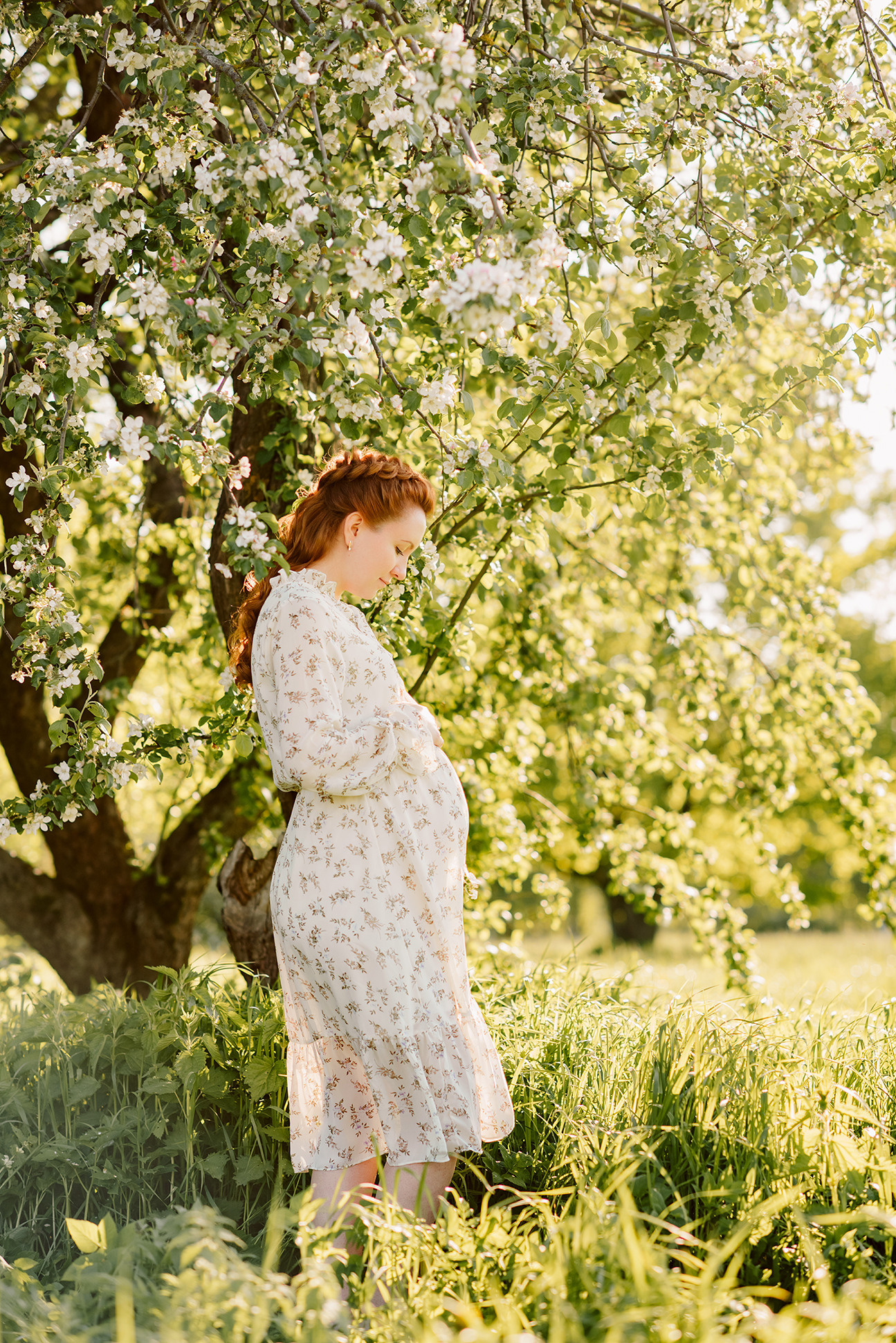 Фотосессия в яблонях в СПб, Фотосессия в цветении СПб. Семейный и Свадебный фотограф. Санкт-Петербург. Пушкин