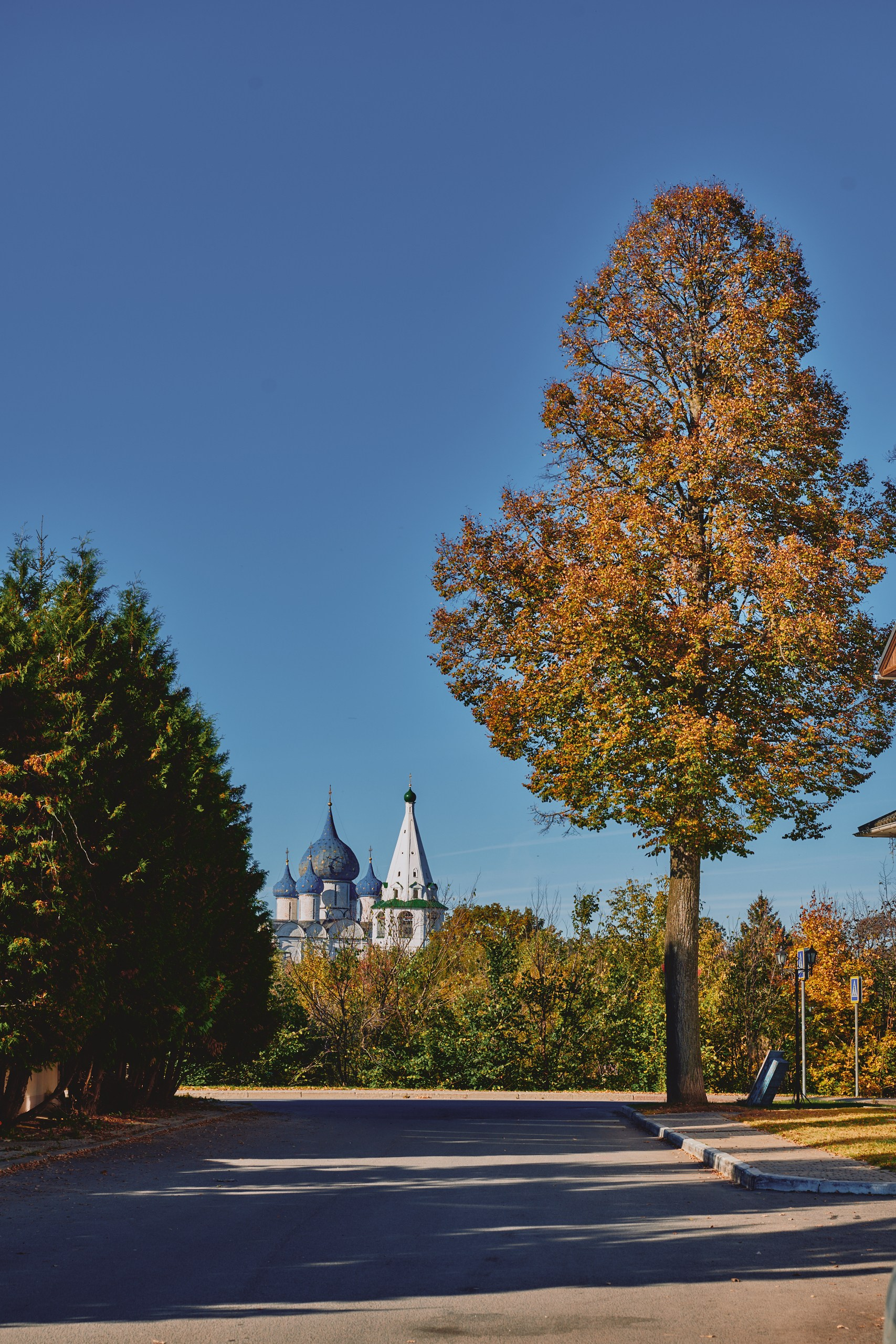 Суздаль — лучший город для свадьб. Фотограф в Иваново: Каталожная съемка одежды и постельного белья, Wildberries